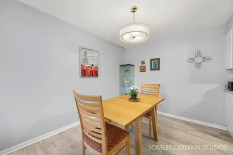 $250,000 | 502 Redondo Drive, Unit 107, Downers Grove, IL 60516