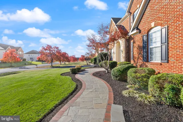 a view of a park with large trees