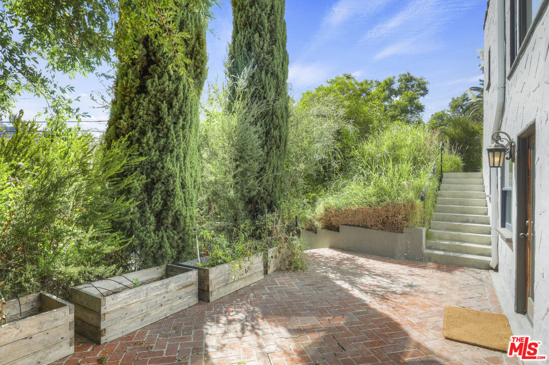 3003 Fall Avenue Los Angeles, CA 90026 - Photo 42 of 45 a view of a yard with plants and trees