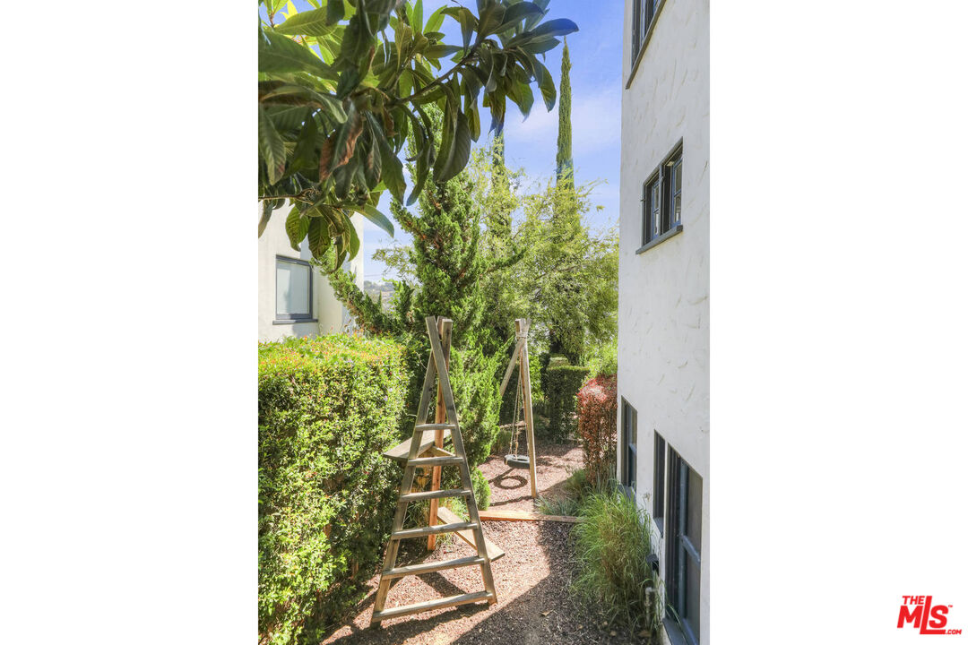 3003 Fall Avenue Los Angeles, CA 90026 - Photo 43 of 45 a close up of a plant in a garden