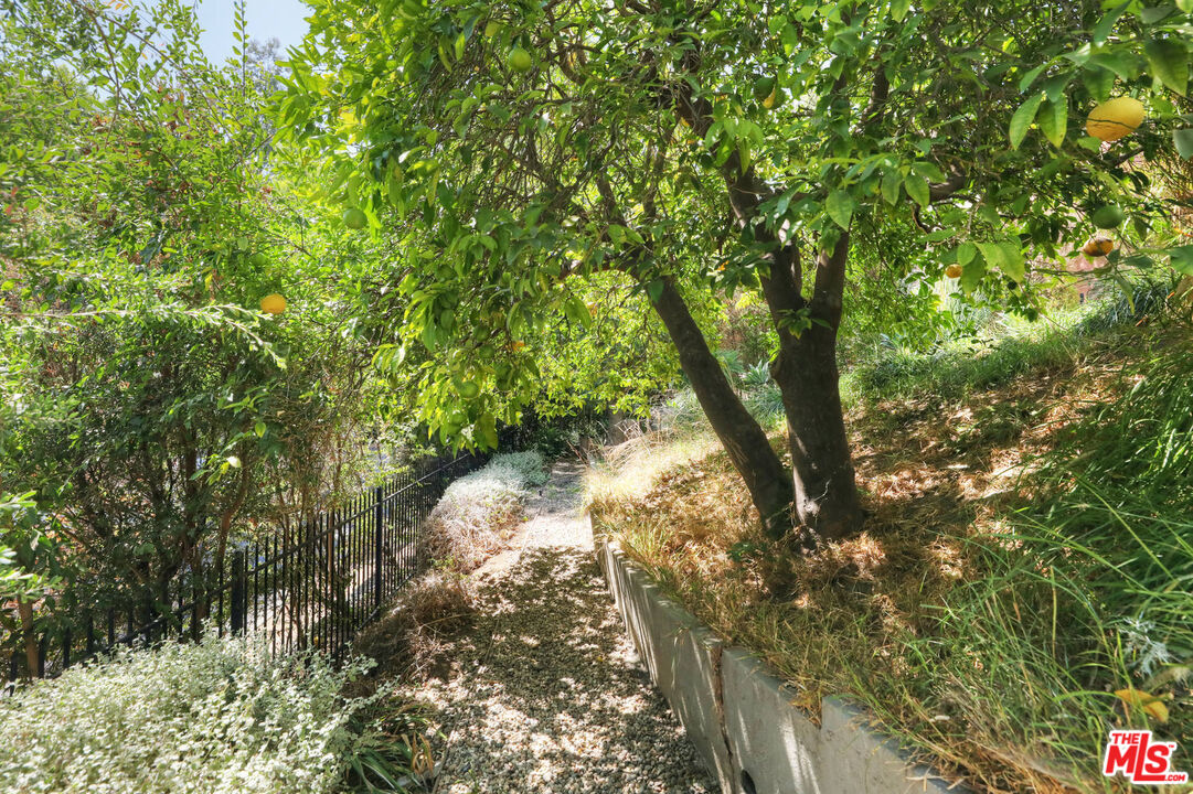 3003 Fall Avenue Los Angeles, CA 90026 - Photo 44 of 45 a backyard of a house with large trees