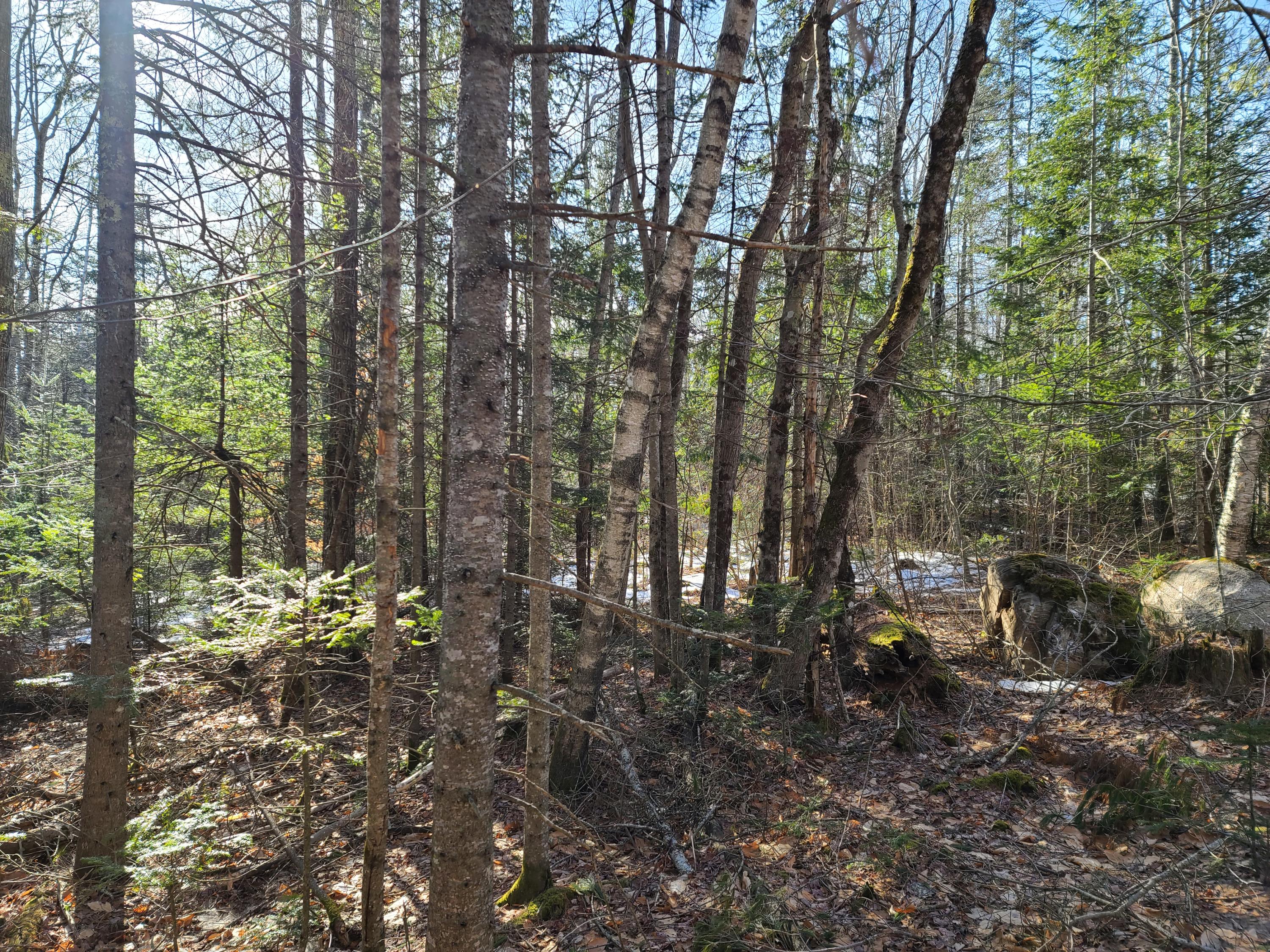 0 Old County Road Searsport, ME 04974 - Photo 7 of 21 2021-03-19 09.20.40