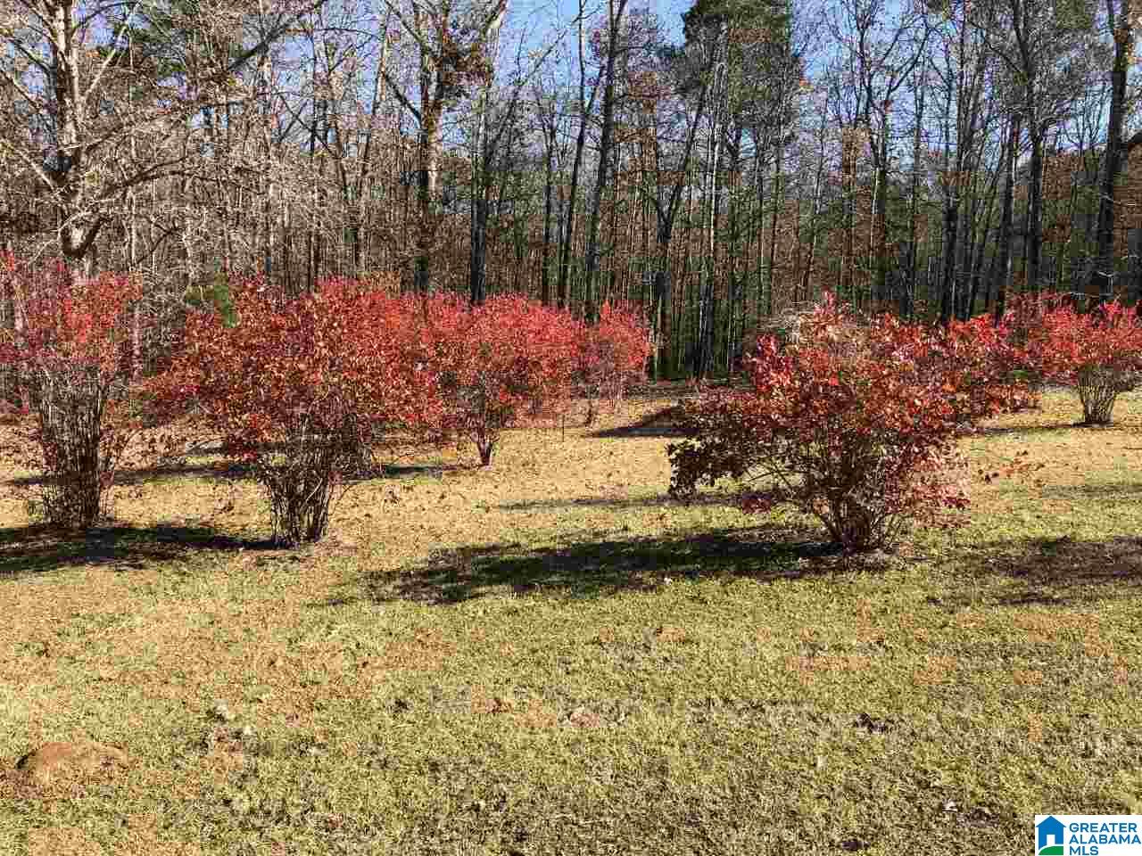 3337 Nail Road Warrior, AL 35180 - Photo 47 of 50