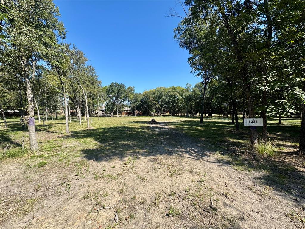 1325 Park Street Azle, TX 76020 - Photo 13 of 22 a view of a park