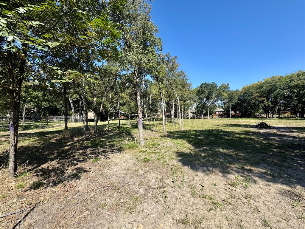 1325 Park Street Azle, TX 76020 - Photo 14 of 22 a view of a tree in a yard