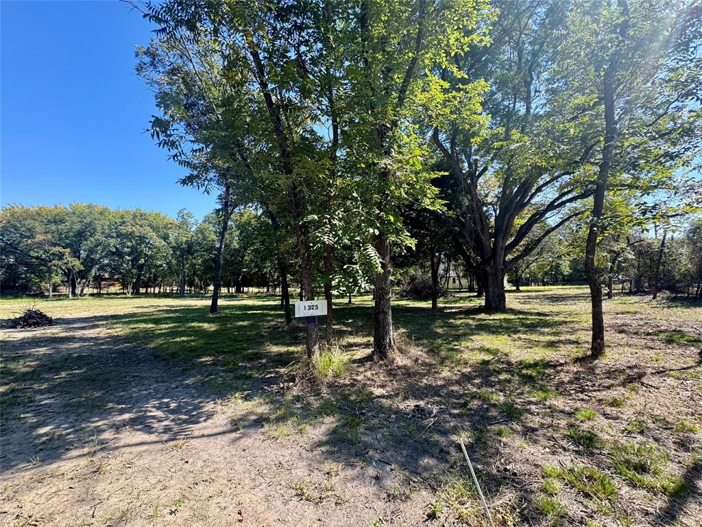 1325 Park Street Azle, TX 76020 - Photo 15 of 22 a view of a yard with trees
