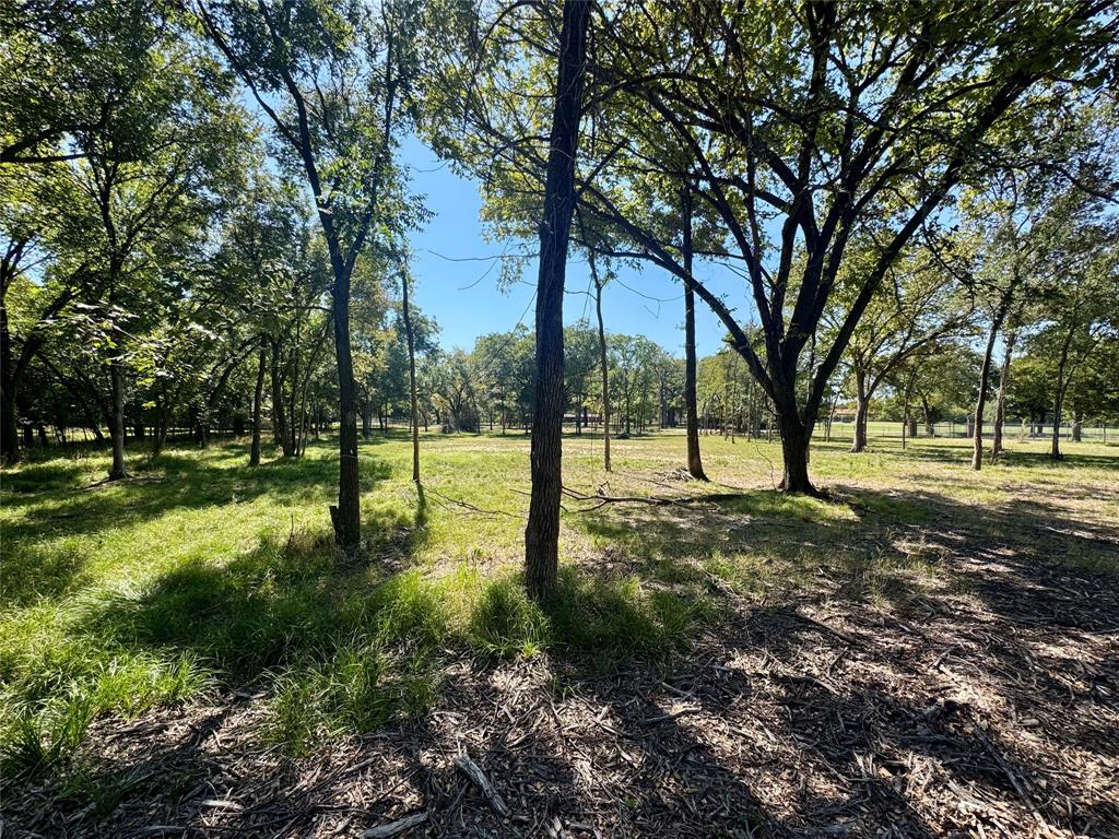 1325 Park Street Azle, TX 76020 - Photo 19 of 22 a view of a yard with a tree