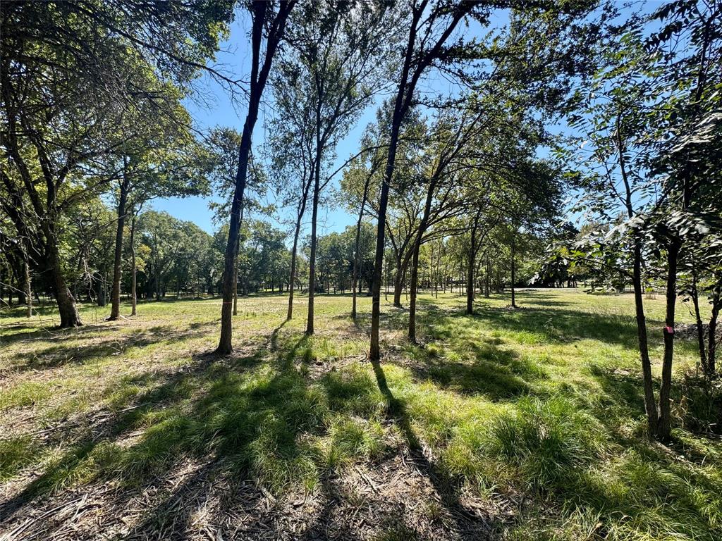 1325 Park Street Azle, TX 76020 - Photo 20 of 22 a view of a yard with a tree