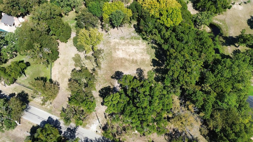 1325 Park Street Azle, TX 76020 - Photo 6 of 22 a view of a tree in a garden