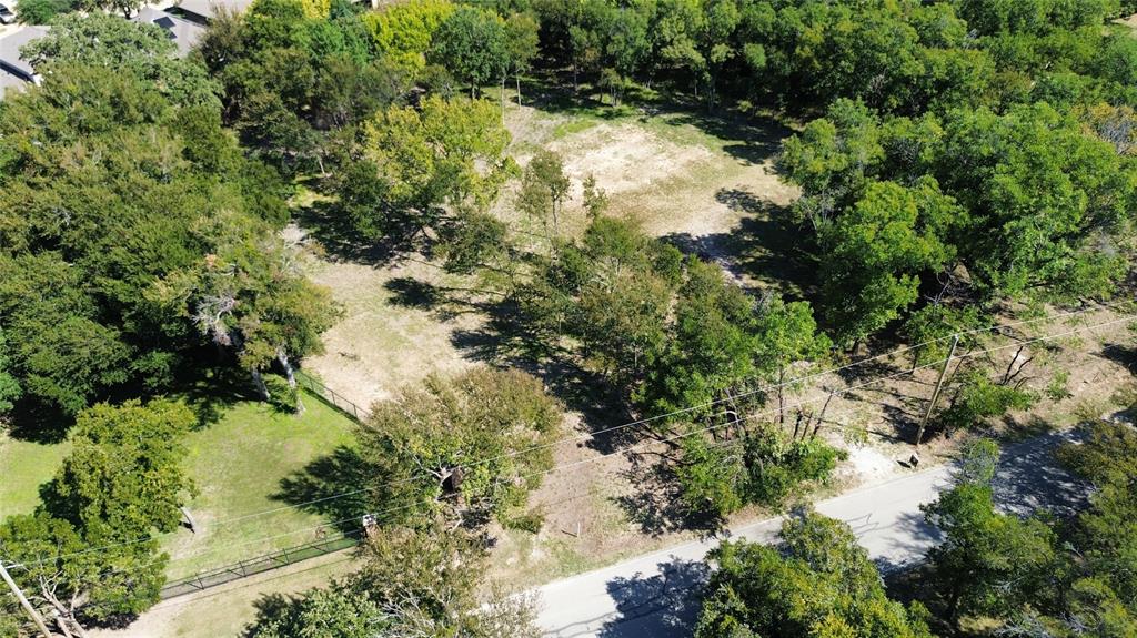 1325 Park Street Azle, TX 76020 - Photo 8 of 22 a view of a forest with a tree