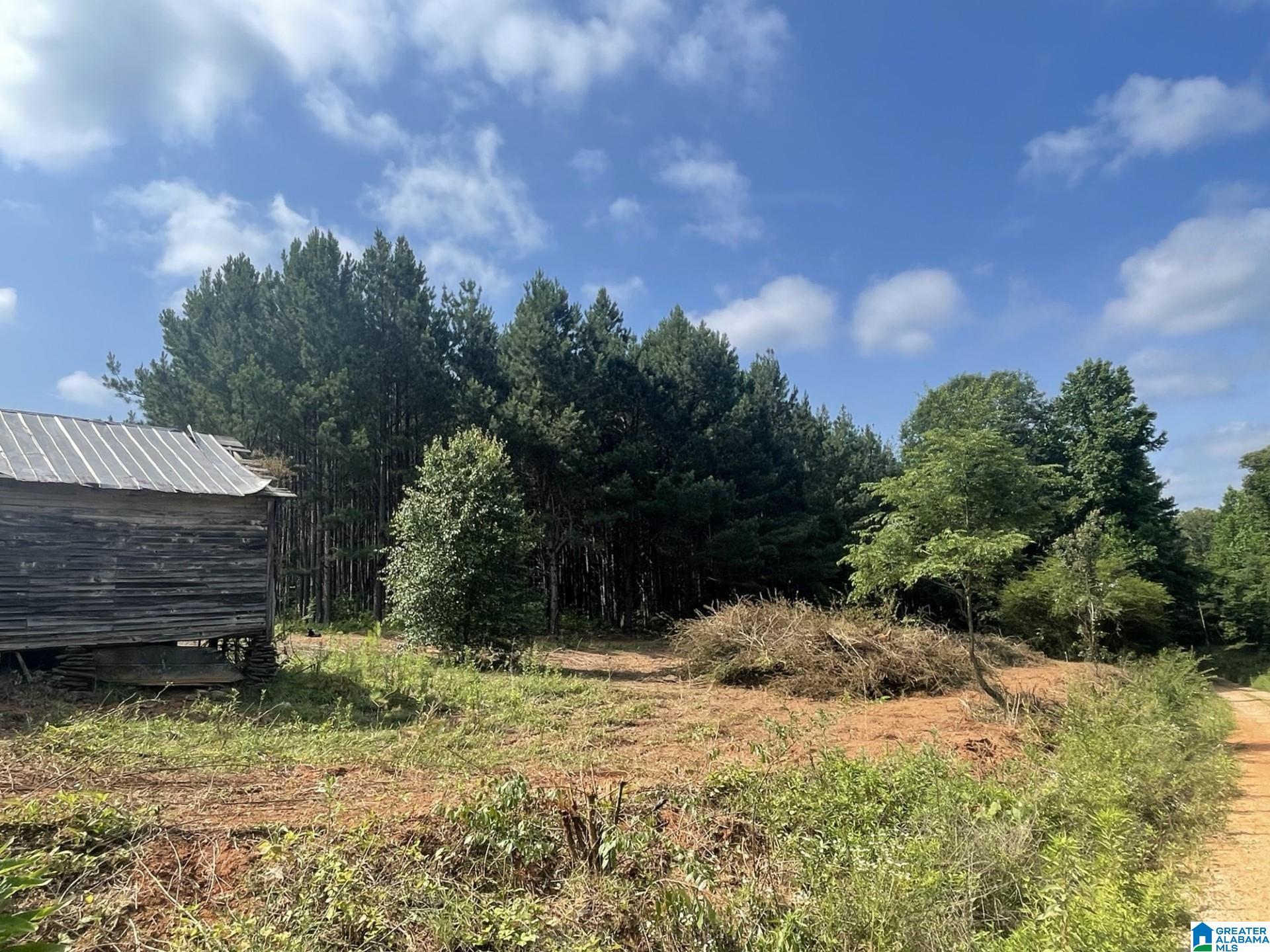 673 County Road, Unit 5 6 Woodland, AL 36280 - Photo 5 of 10