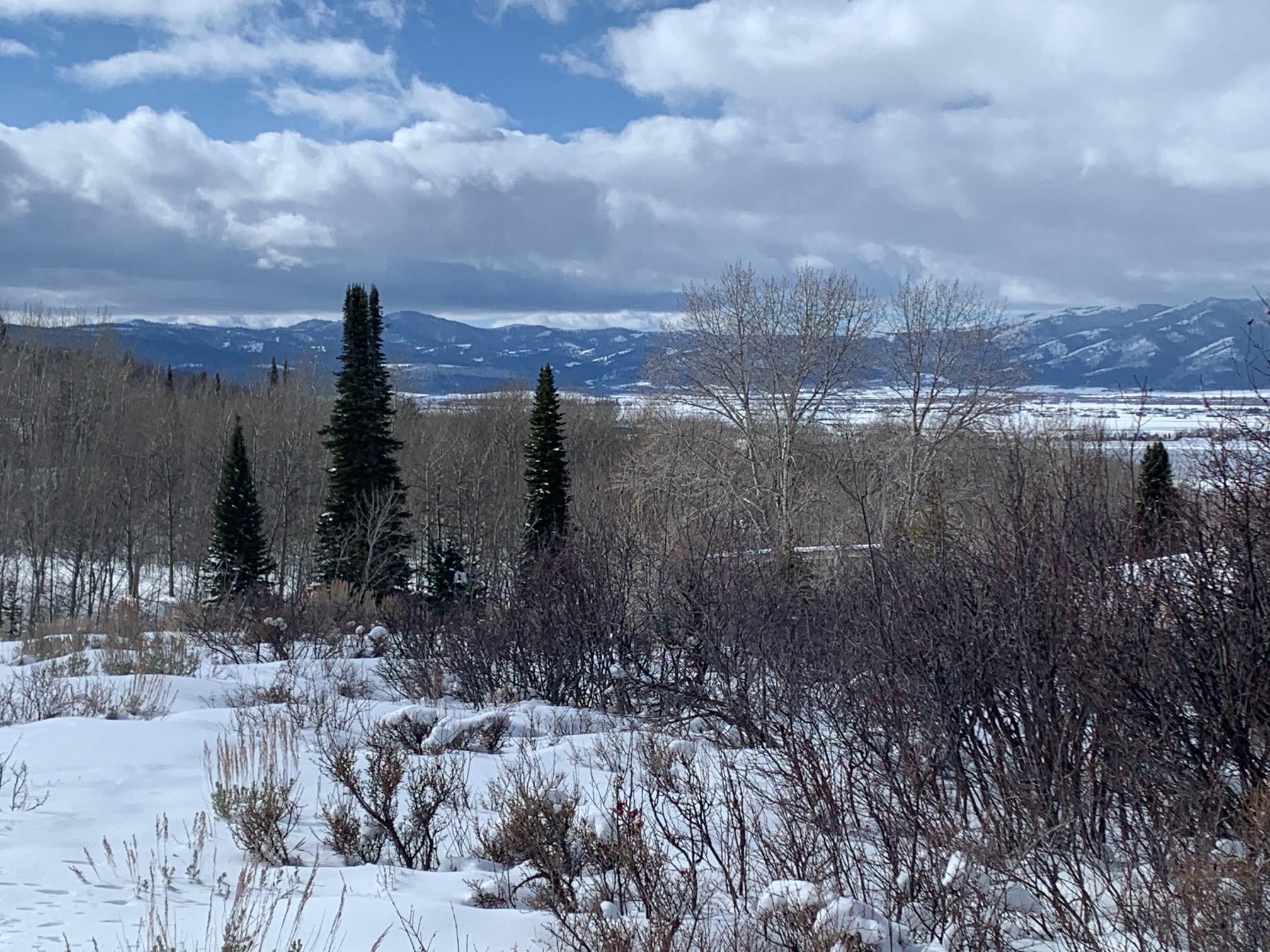 1780 East 5250 Street Victor, ID 83455 - Photo 12 of 36 lot 17 west views private from nearby h