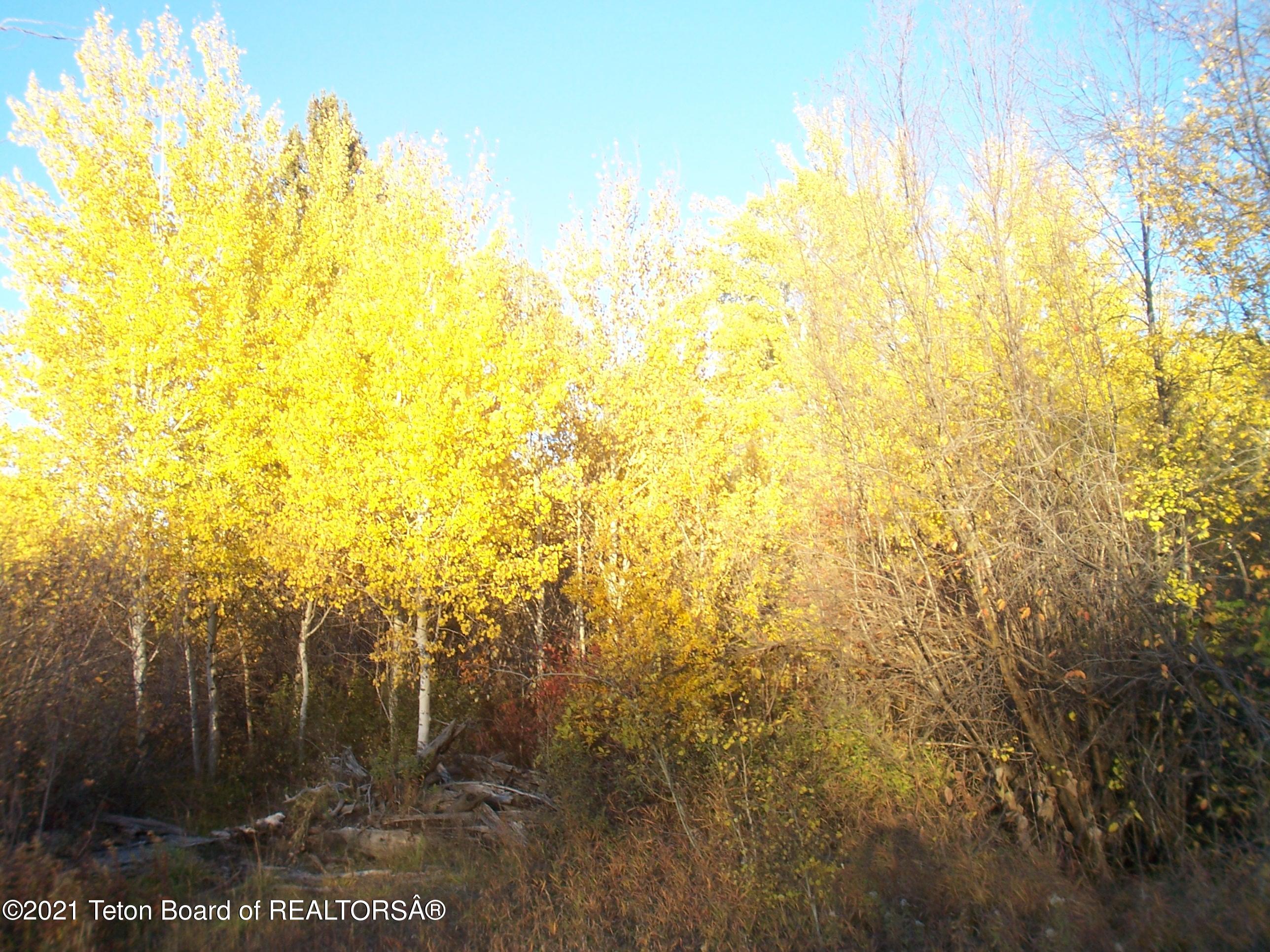 1780 East 5250 Street Victor, ID 83455 - Photo 21 of 36 Fall OVERLOOK 0225866 bright cotto