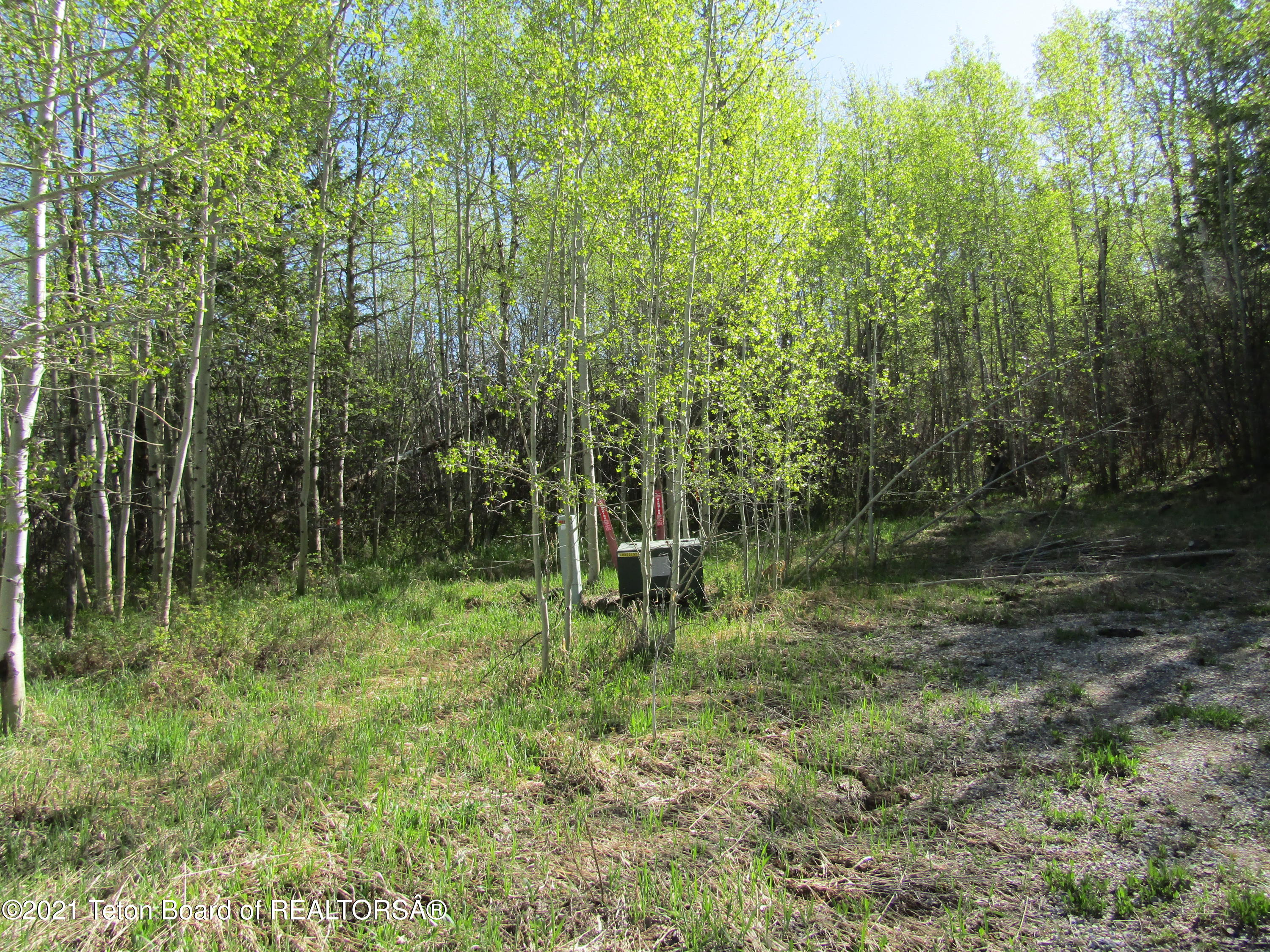 1780 East 5250 Street Victor, ID 83455 - Photo 27 of 36 14 Underground power and phone end of Ba
