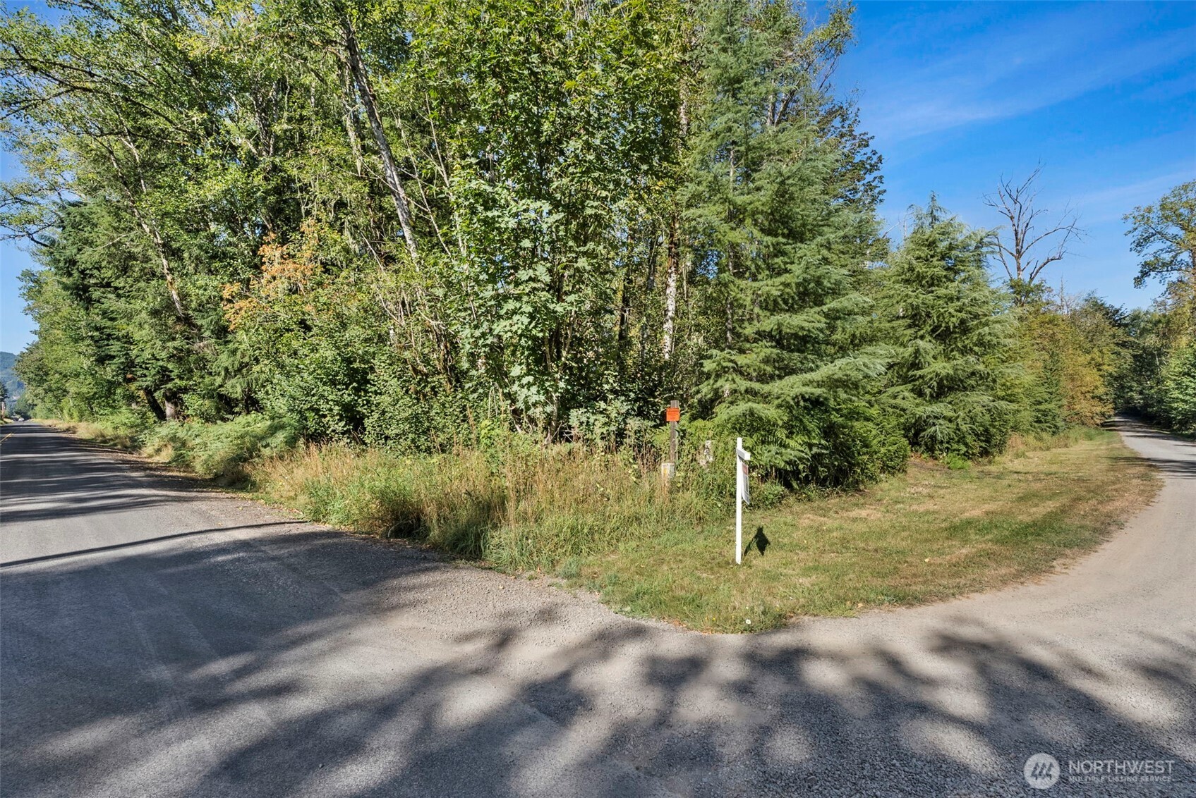 285 Justus Road Cinebar, WA 98533 - Photo 8 of 20 Gallery Image 8