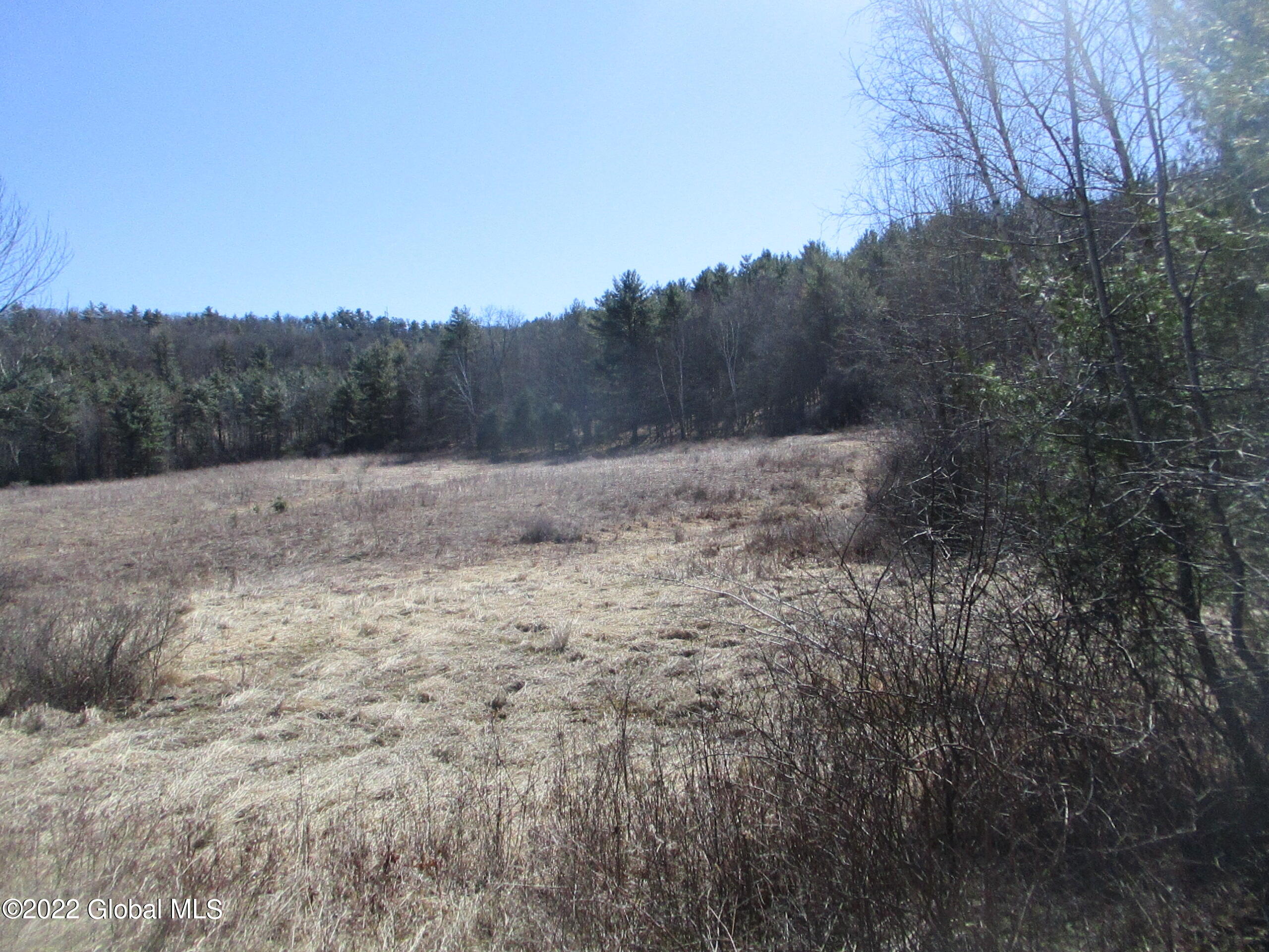 0 Fords Road Hoosick Falls, NY 12090 - Photo 15 of 57 15 Middle Meadow-Woodcock Habitat