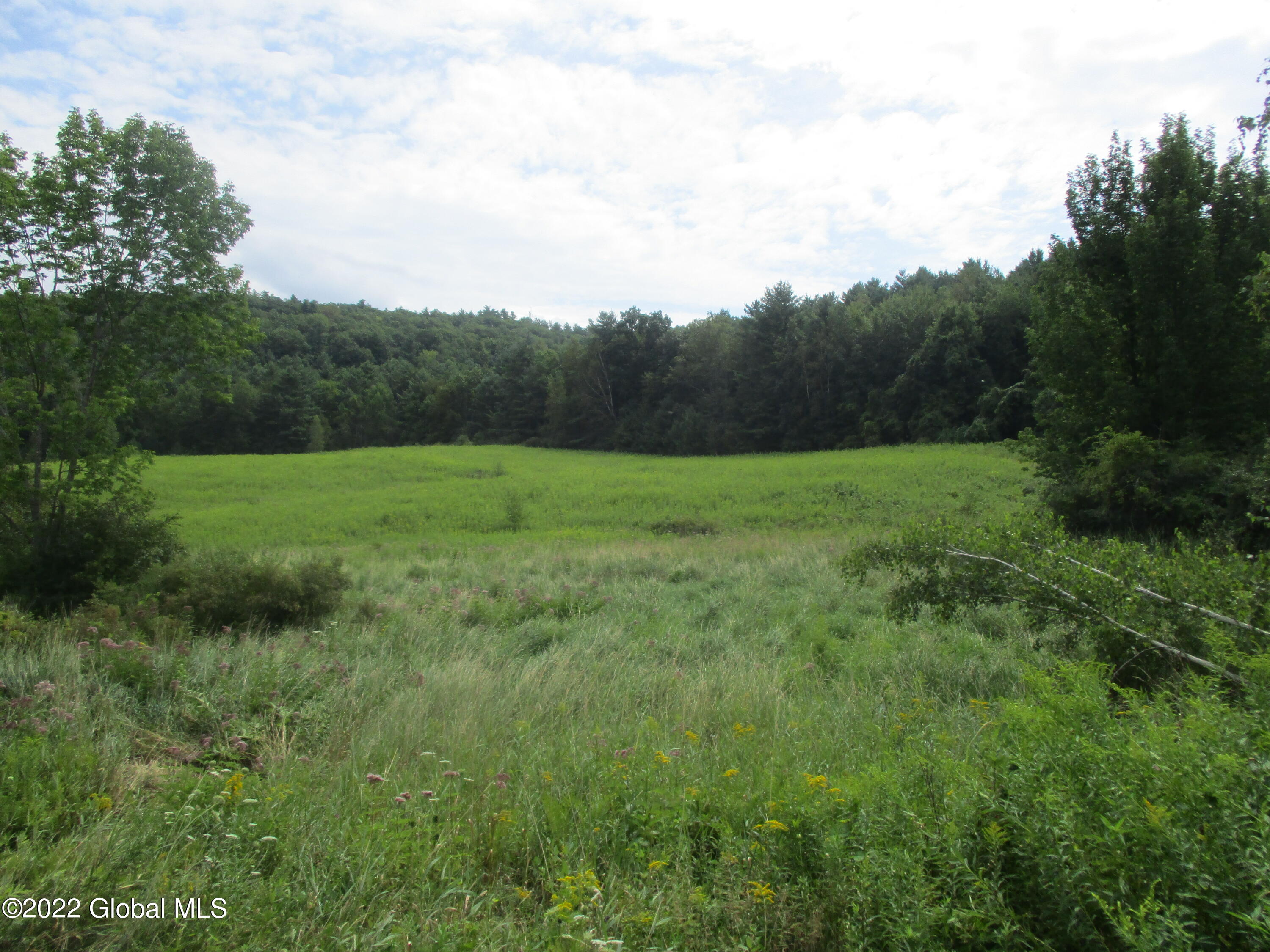0 Fords Road Hoosick Falls, NY 12090 - Photo 18 of 57 18 Middle Meadow in Summer