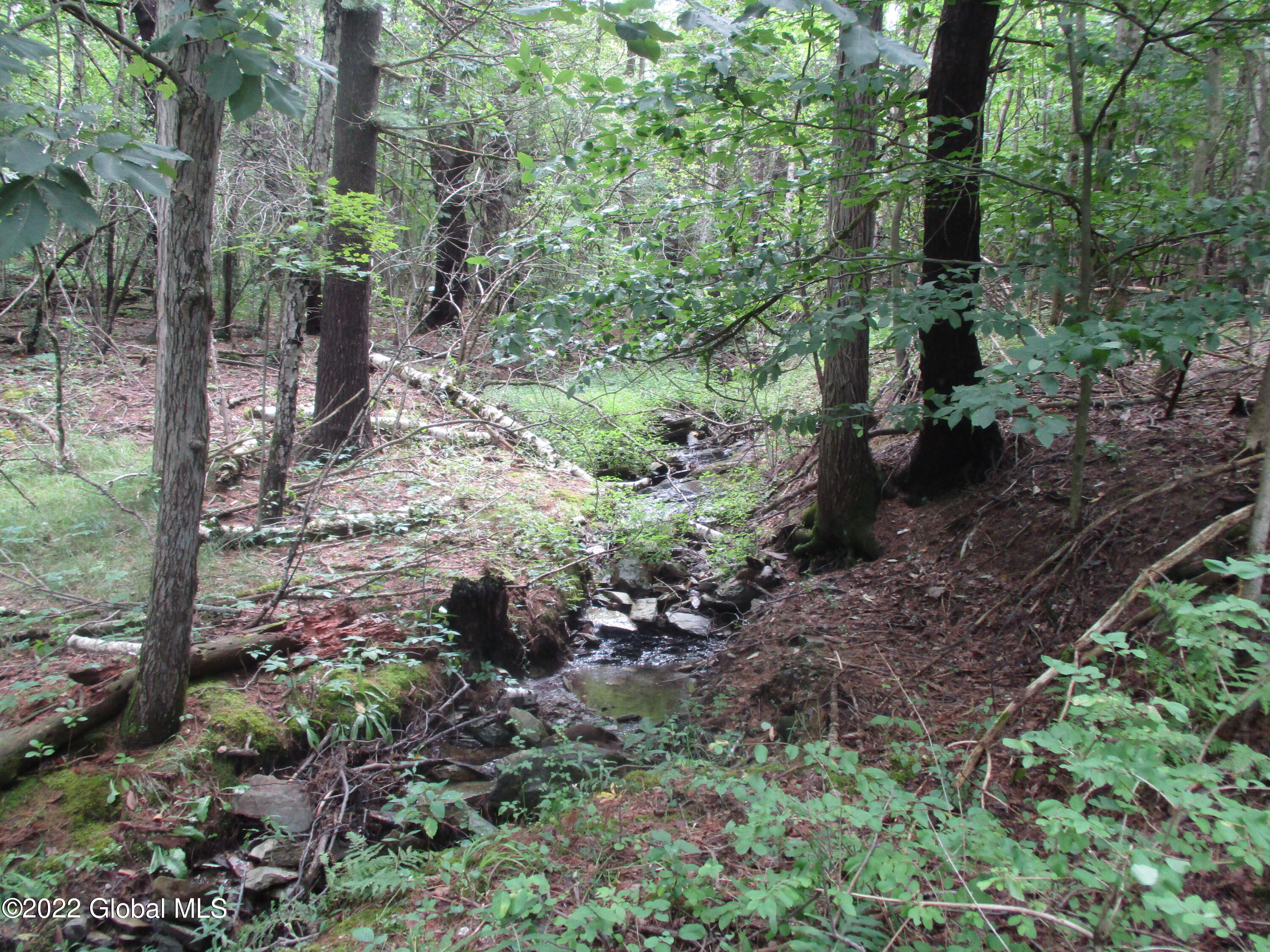 0 Fords Road Hoosick Falls, NY 12090 - Photo 21 of 57 21 Stream in August