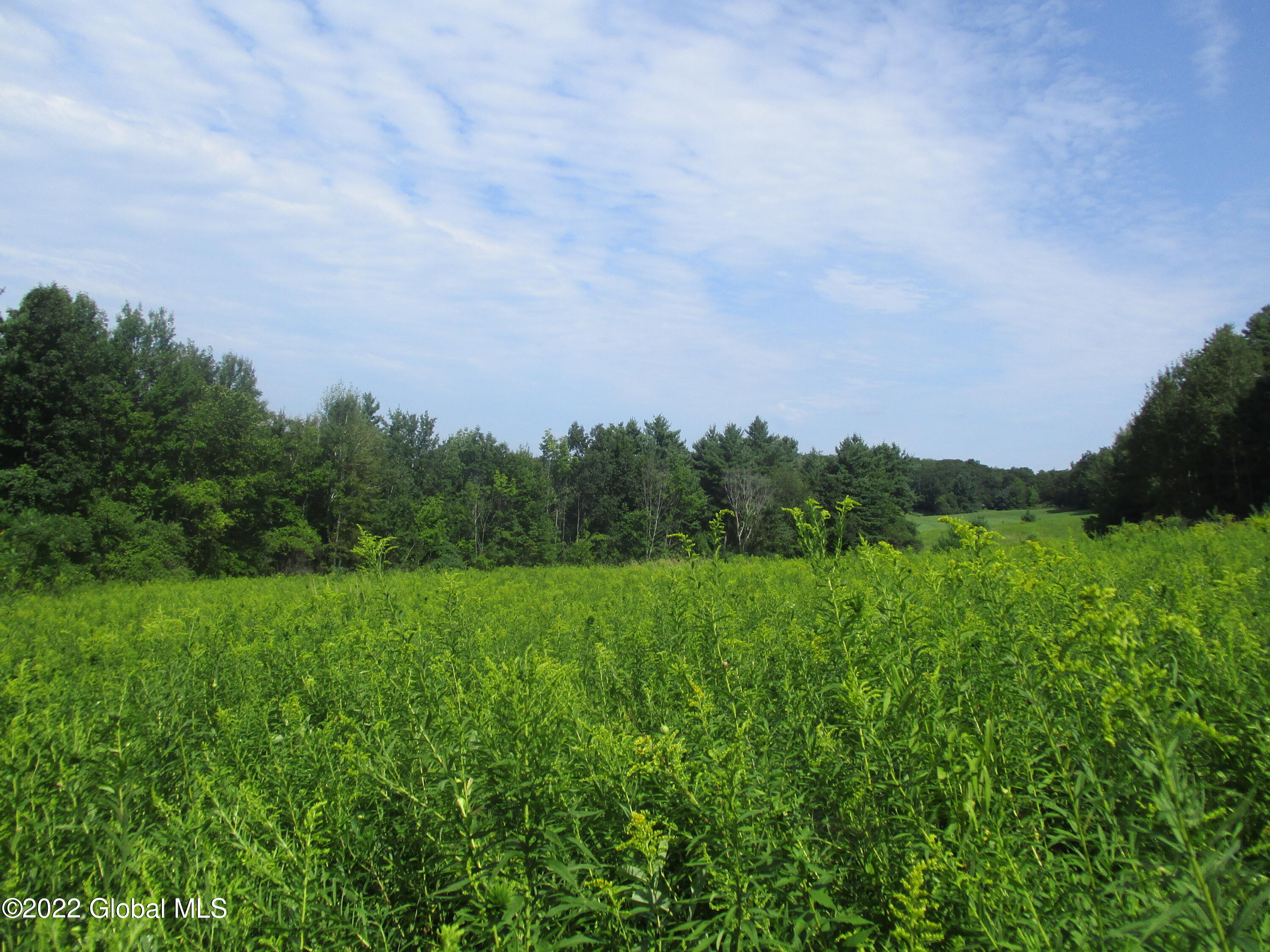 0 Fords Road Hoosick Falls, NY 12090 - Photo 26 of 57 26 Goldenrod