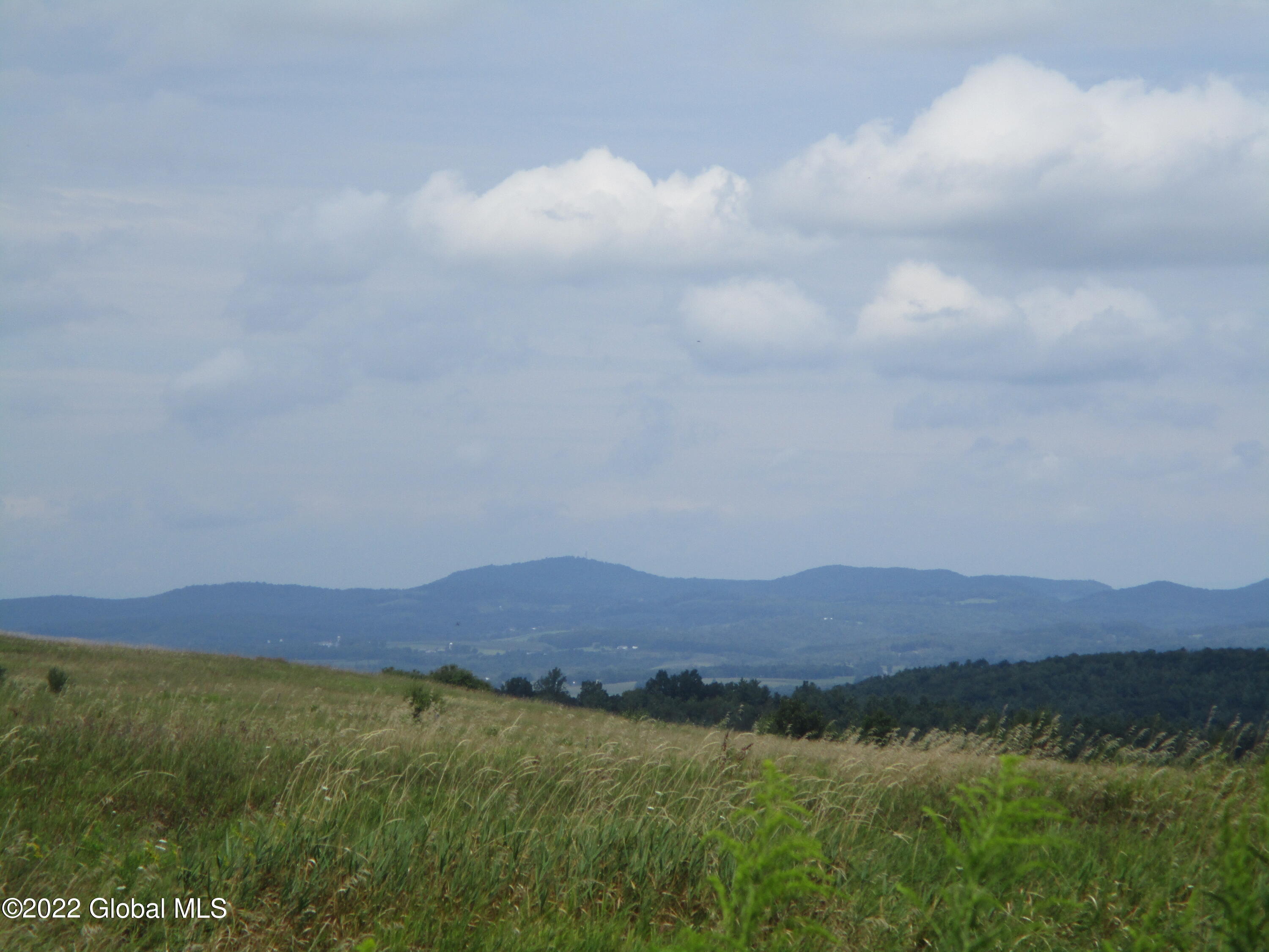 0 Fords Road Hoosick Falls, NY 12090 - Photo 28 of 57 28 Upper Meadow View-Summer