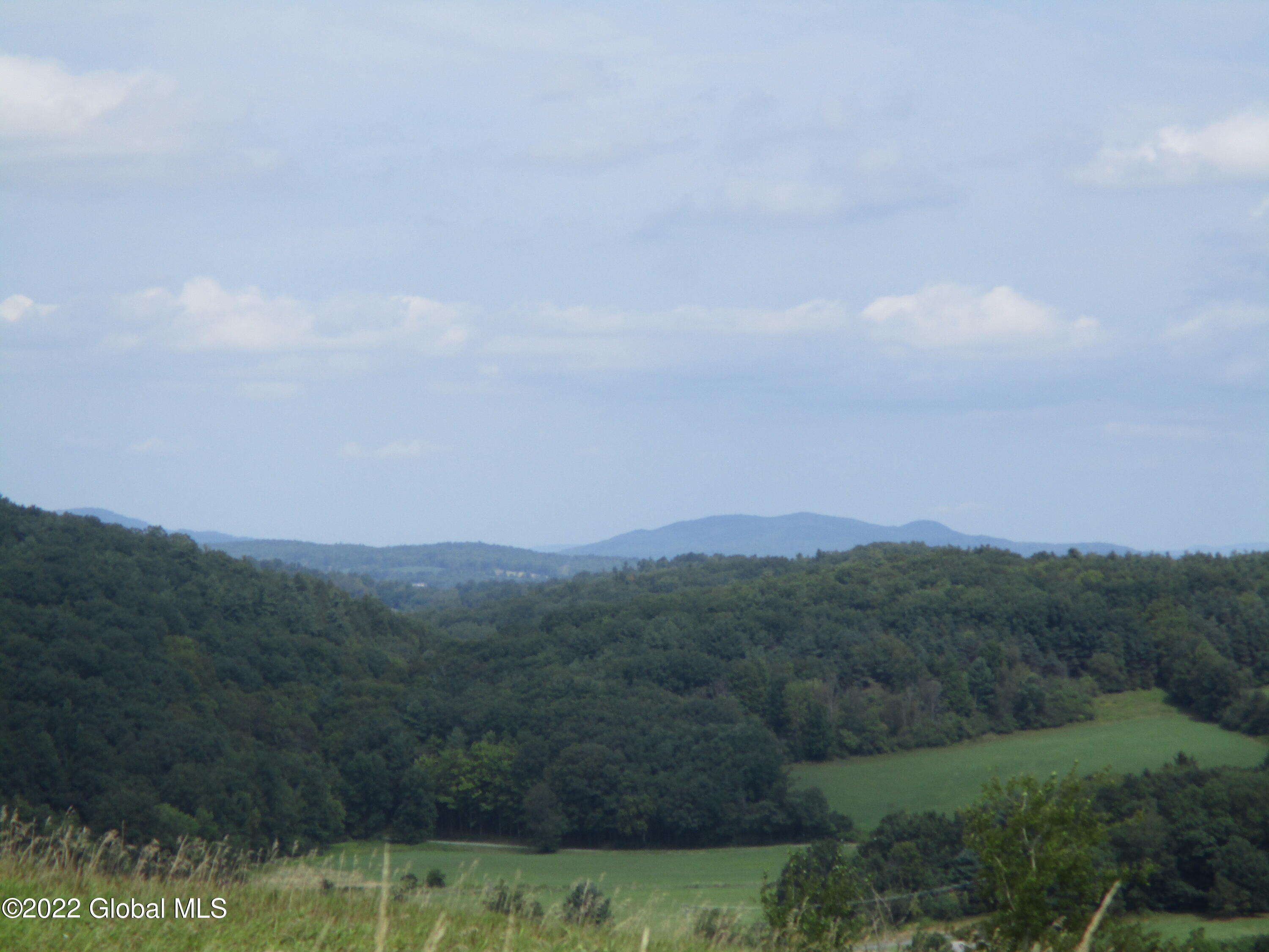0 Fords Road Hoosick Falls, NY 12090 - Photo 29 of 57 29 Upper Meadow View-Summer