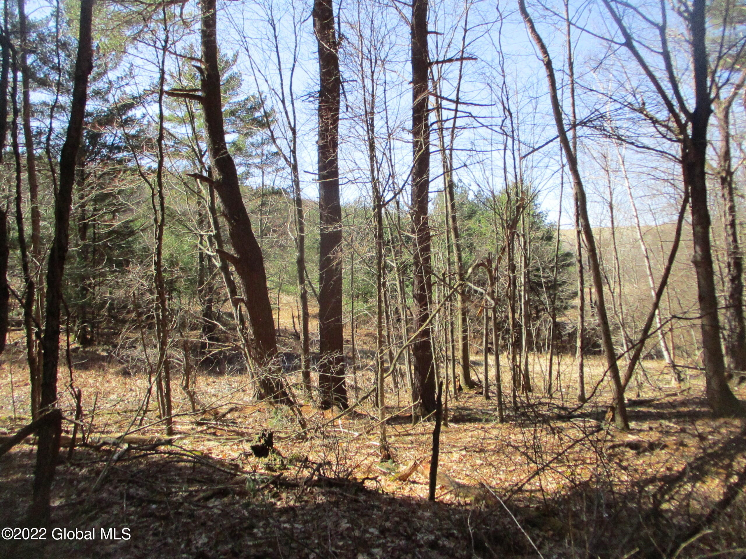 0 Fords Road Hoosick Falls, NY 12090 - Photo 30 of 57 30 Woolot