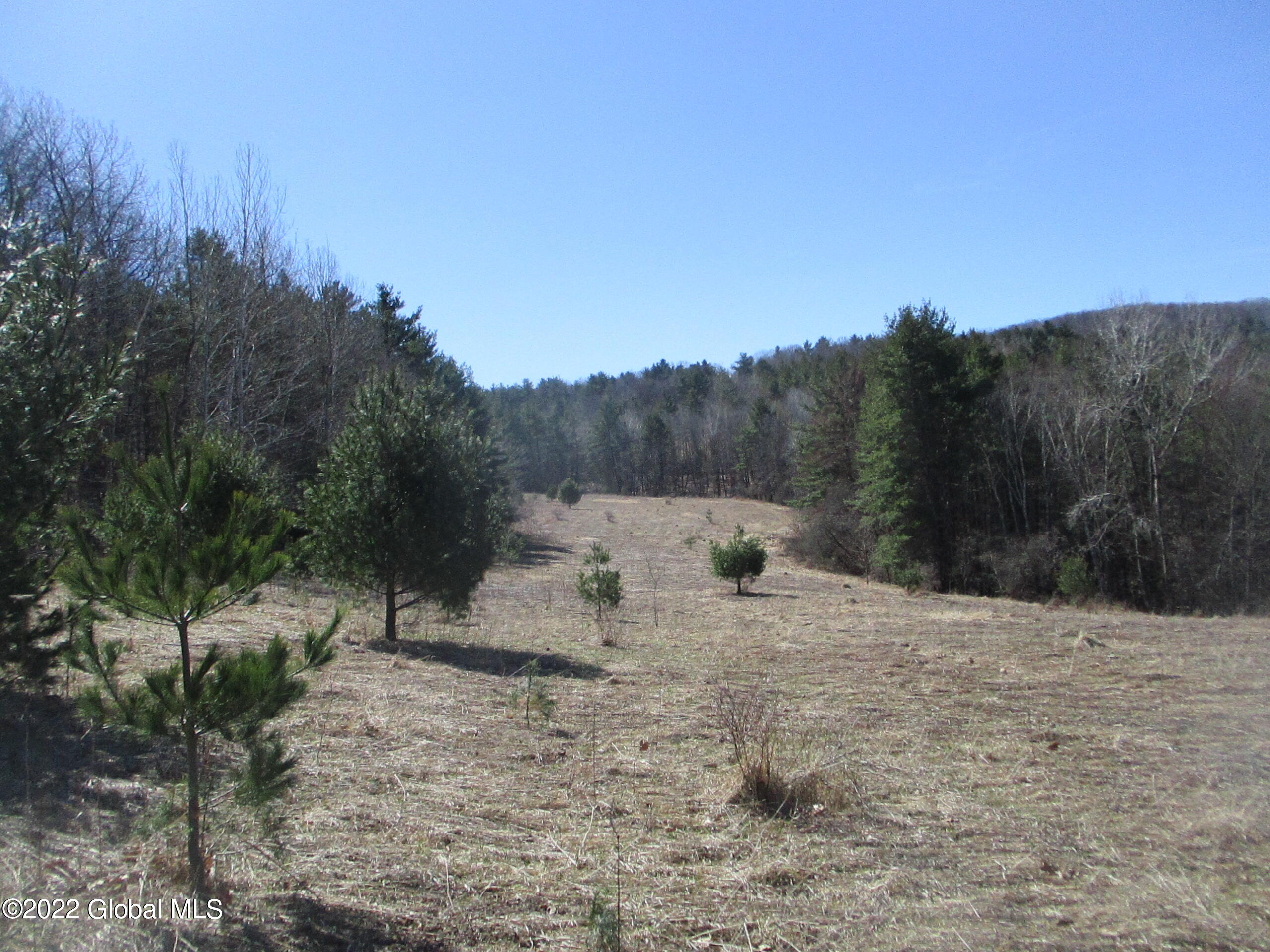 0 Fords Road Hoosick Falls, NY 12090 - Photo 33 of 57 33 Fords Road Meadow-South