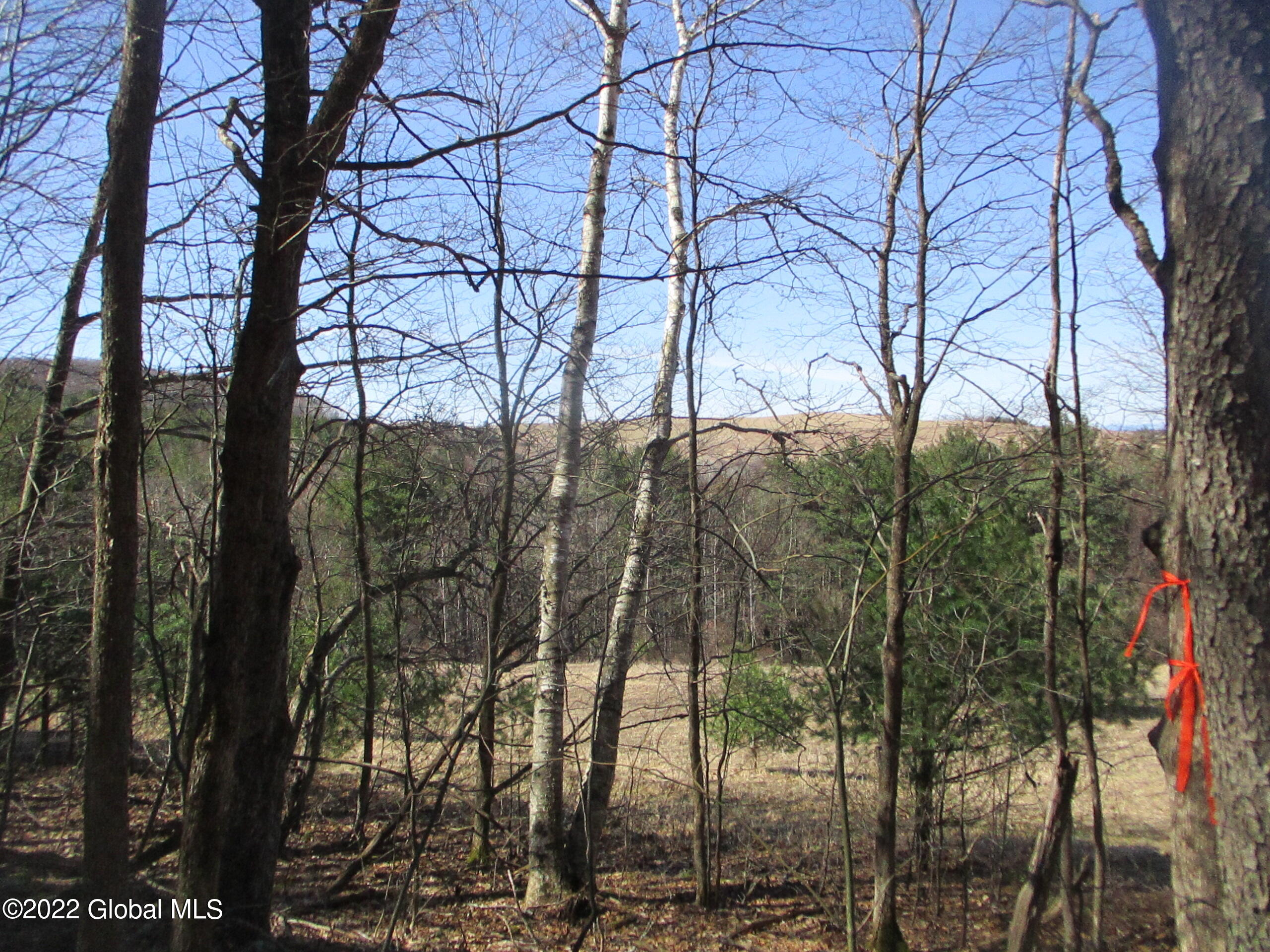 0 Fords Road Hoosick Falls, NY 12090 - Photo 35 of 57 35 North-East Corner Across Meadow-Upper