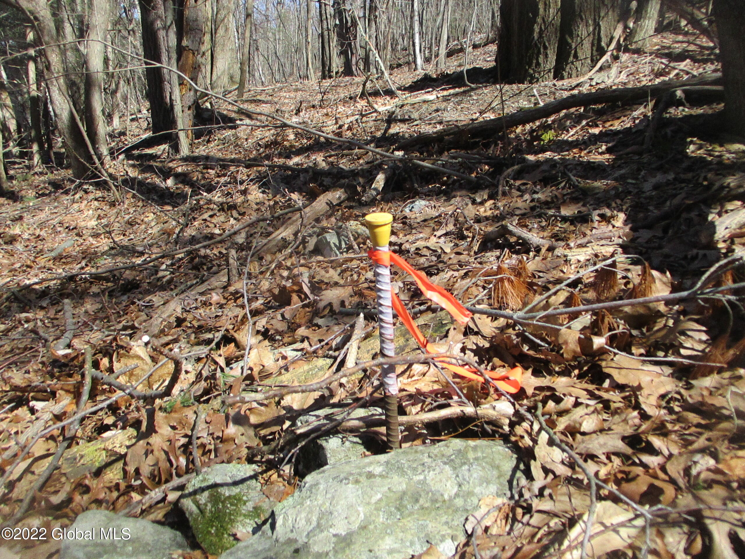 0 Fords Road Hoosick Falls, NY 12090 - Photo 39 of 57 39 Survey Rod at South-East Corner