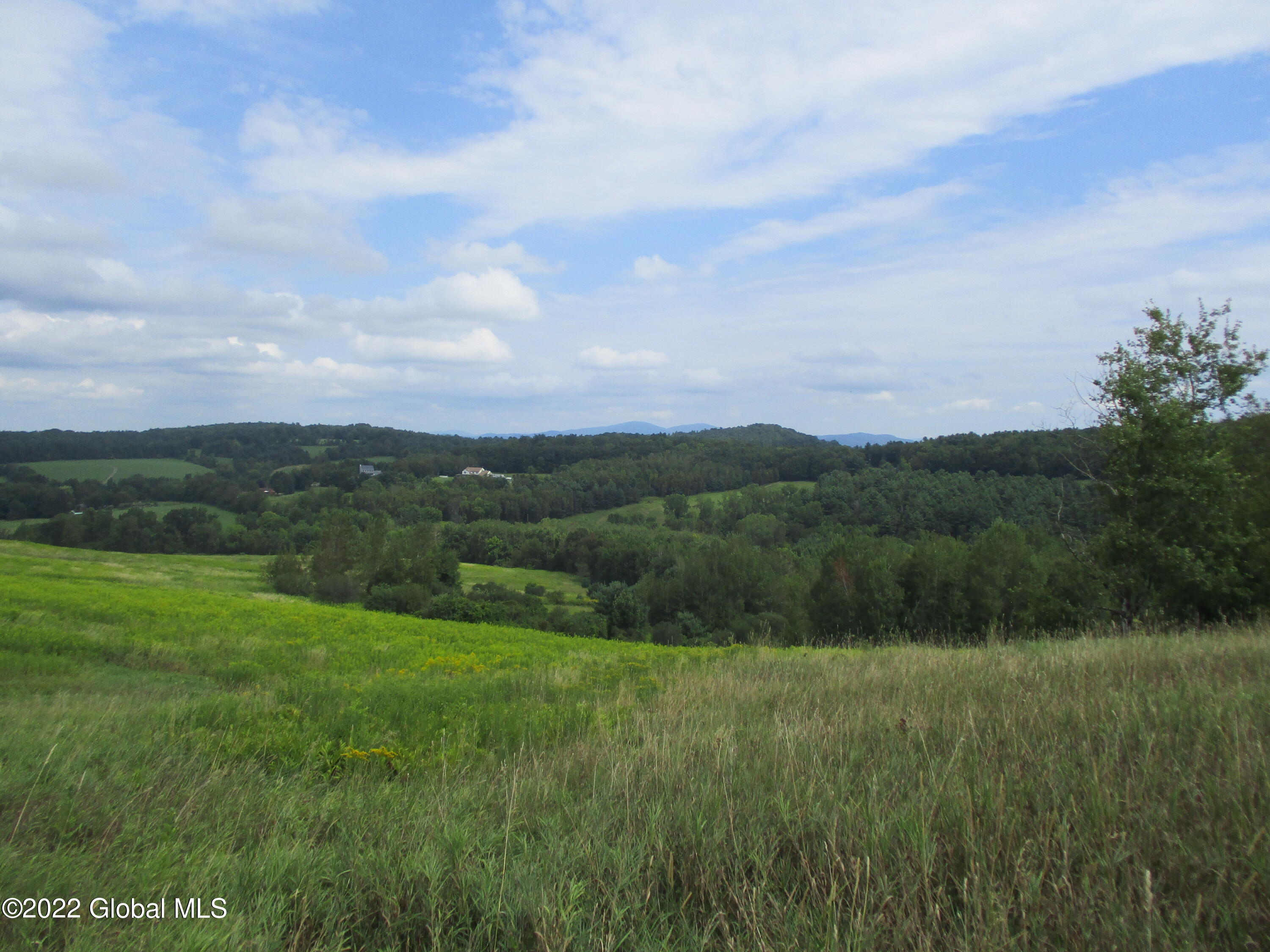 0 Fords Road Hoosick Falls, NY 12090 - Photo 4 of 57 04 Upper Meadow in Summer