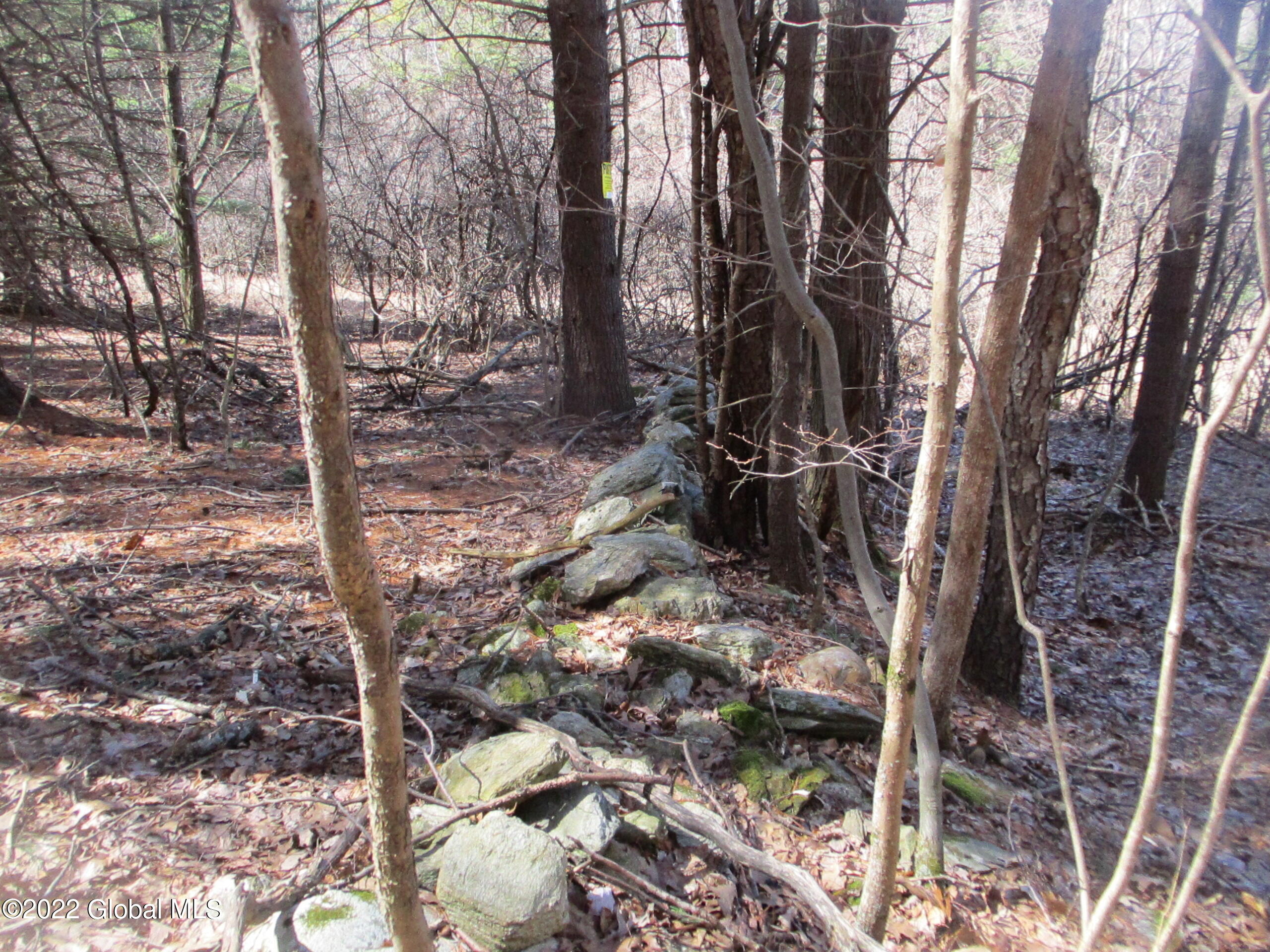 0 Fords Road Hoosick Falls, NY 12090 - Photo 41 of 57 41 Stone Wall Along Southern Boundary