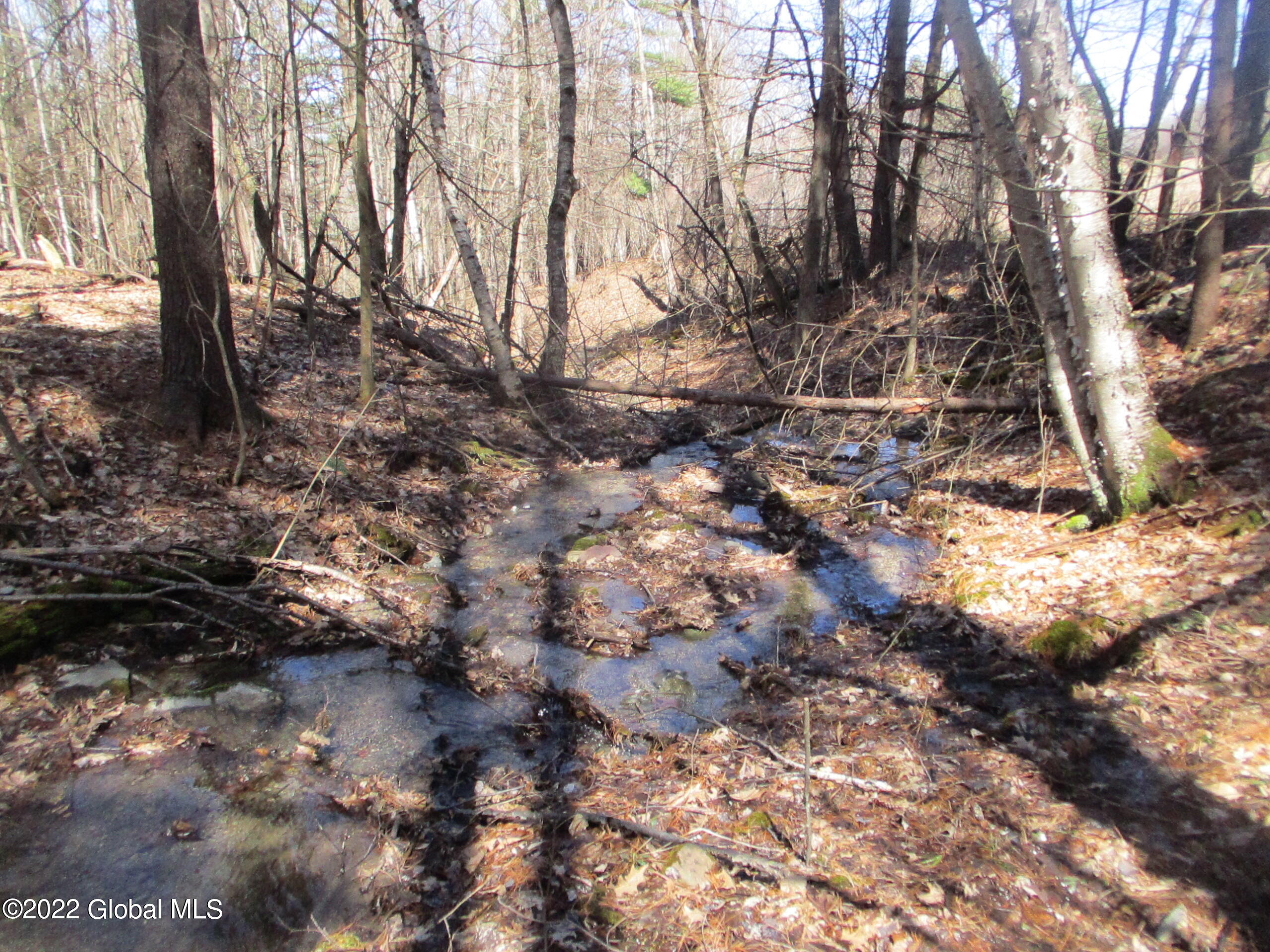 0 Fords Road Hoosick Falls, NY 12090 - Photo 43 of 57 43 Stream at Southern Boundary