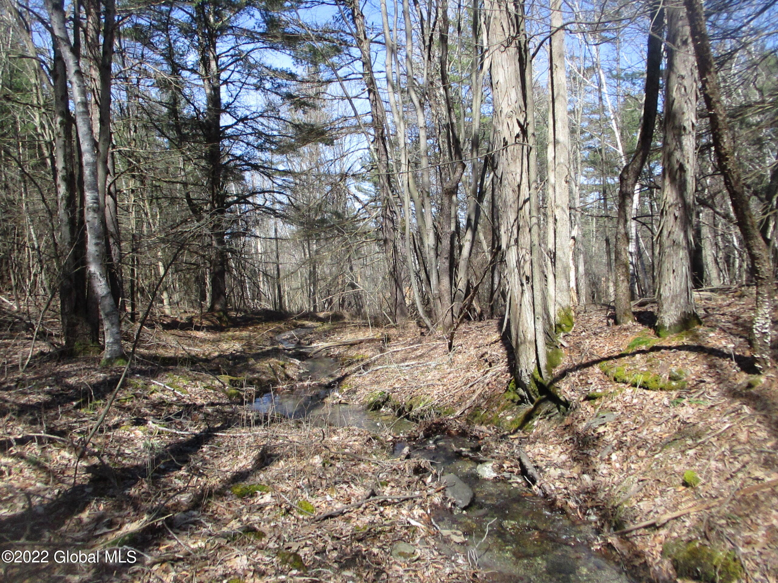 0 Fords Road Hoosick Falls, NY 12090 - Photo 44 of 57 44 Stream in Spring