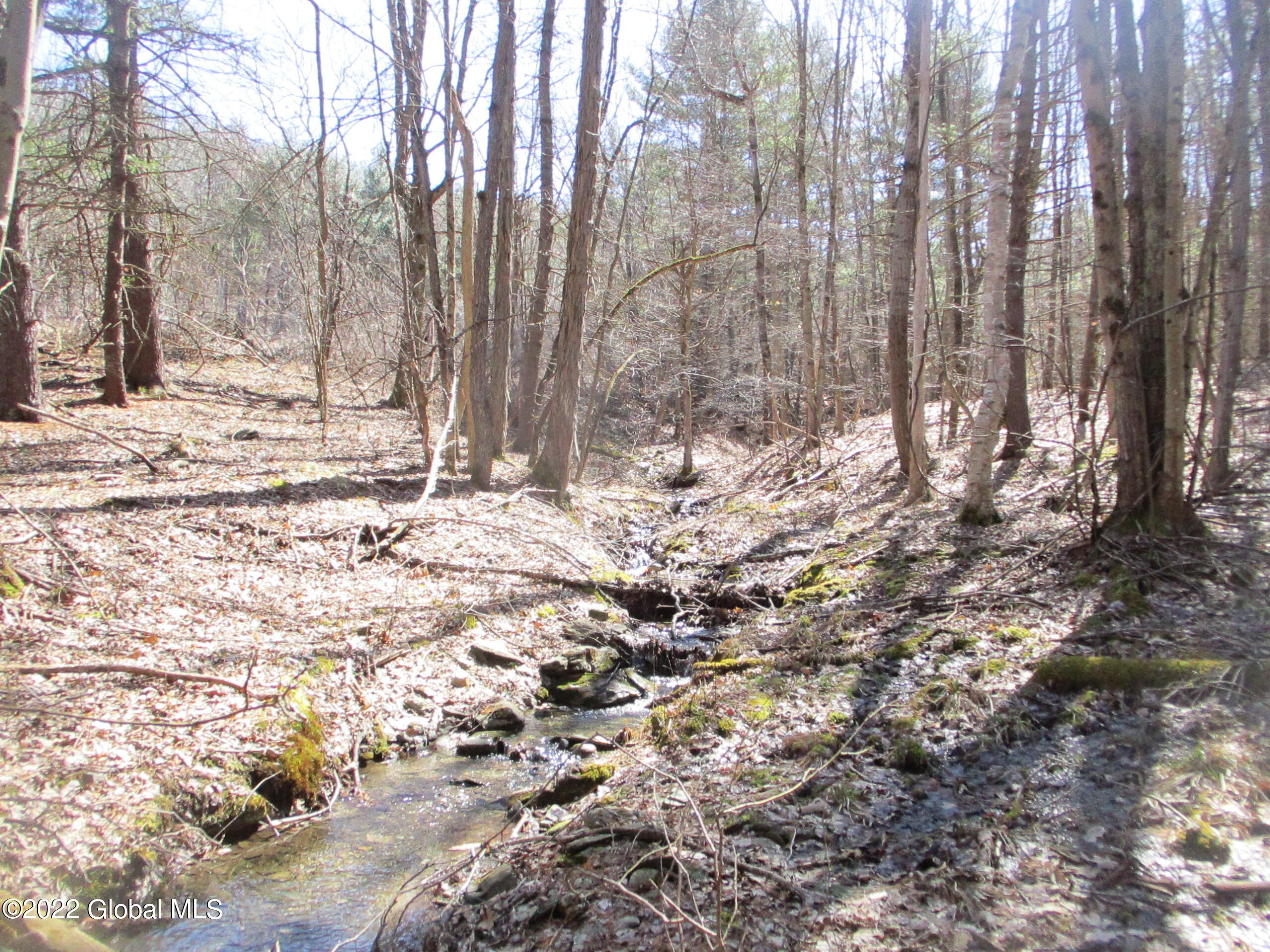 0 Fords Road Hoosick Falls, NY 12090 - Photo 45 of 57 45 Downstream
