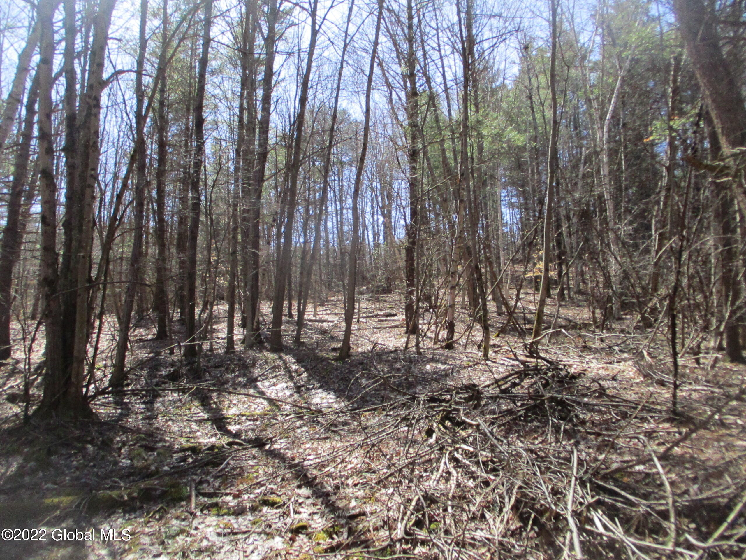 0 Fords Road Hoosick Falls, NY 12090 - Photo 46 of 57 46 Farm Woodlot