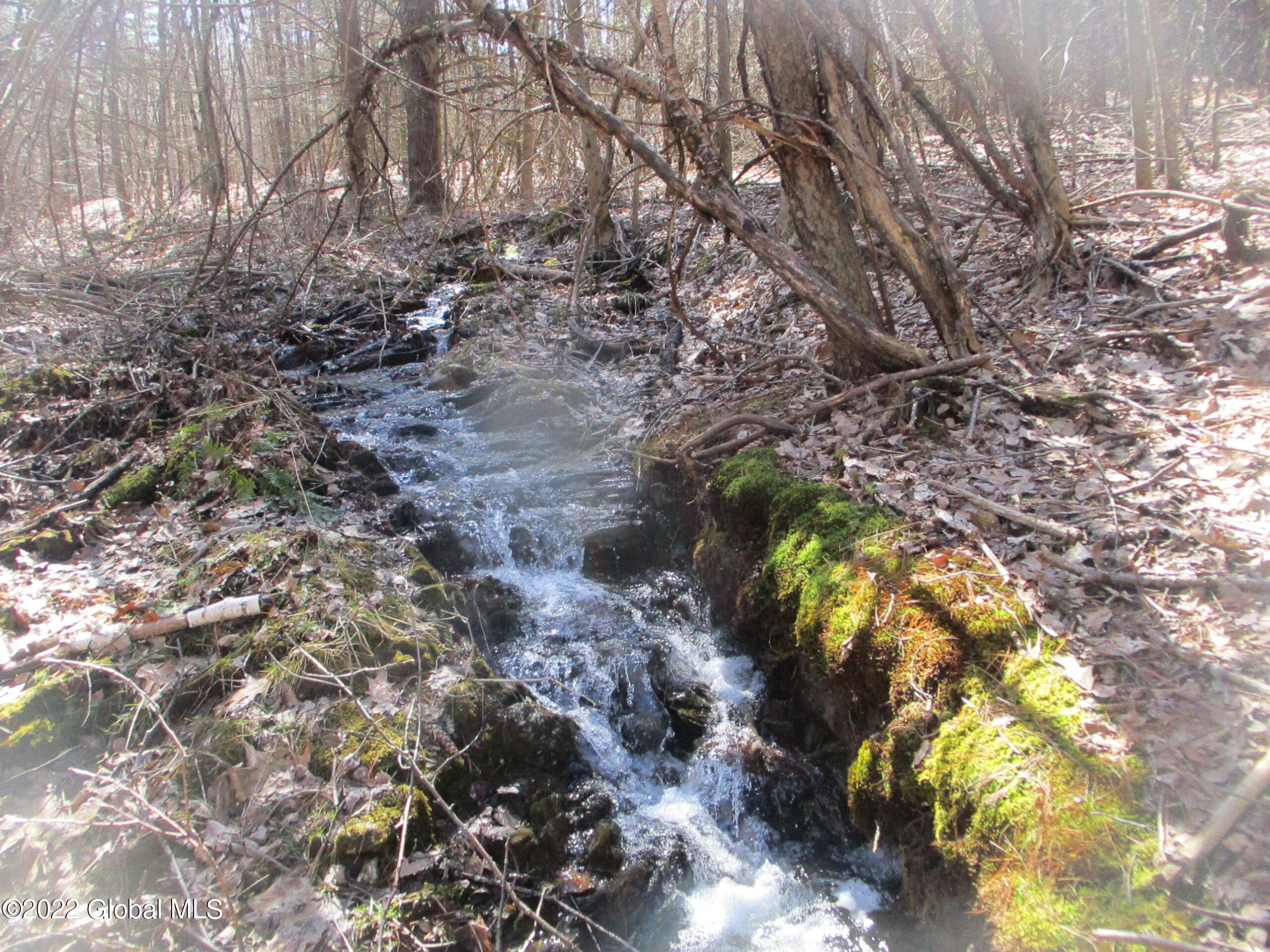 0 Fords Road Hoosick Falls, NY 12090 - Photo 47 of 57 47 Stream in Spring