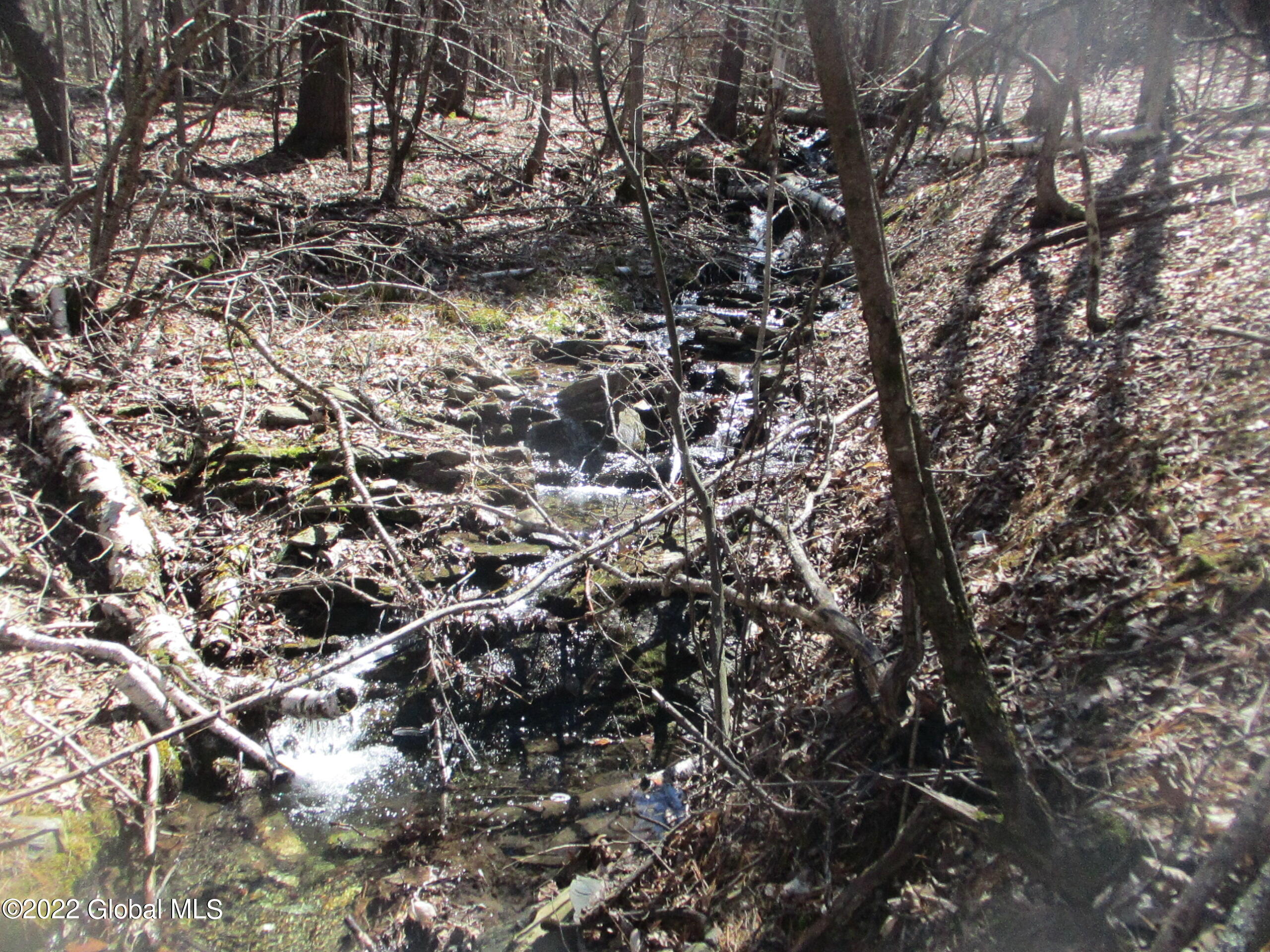 0 Fords Road Hoosick Falls, NY 12090 - Photo 49 of 57 49 Stream
