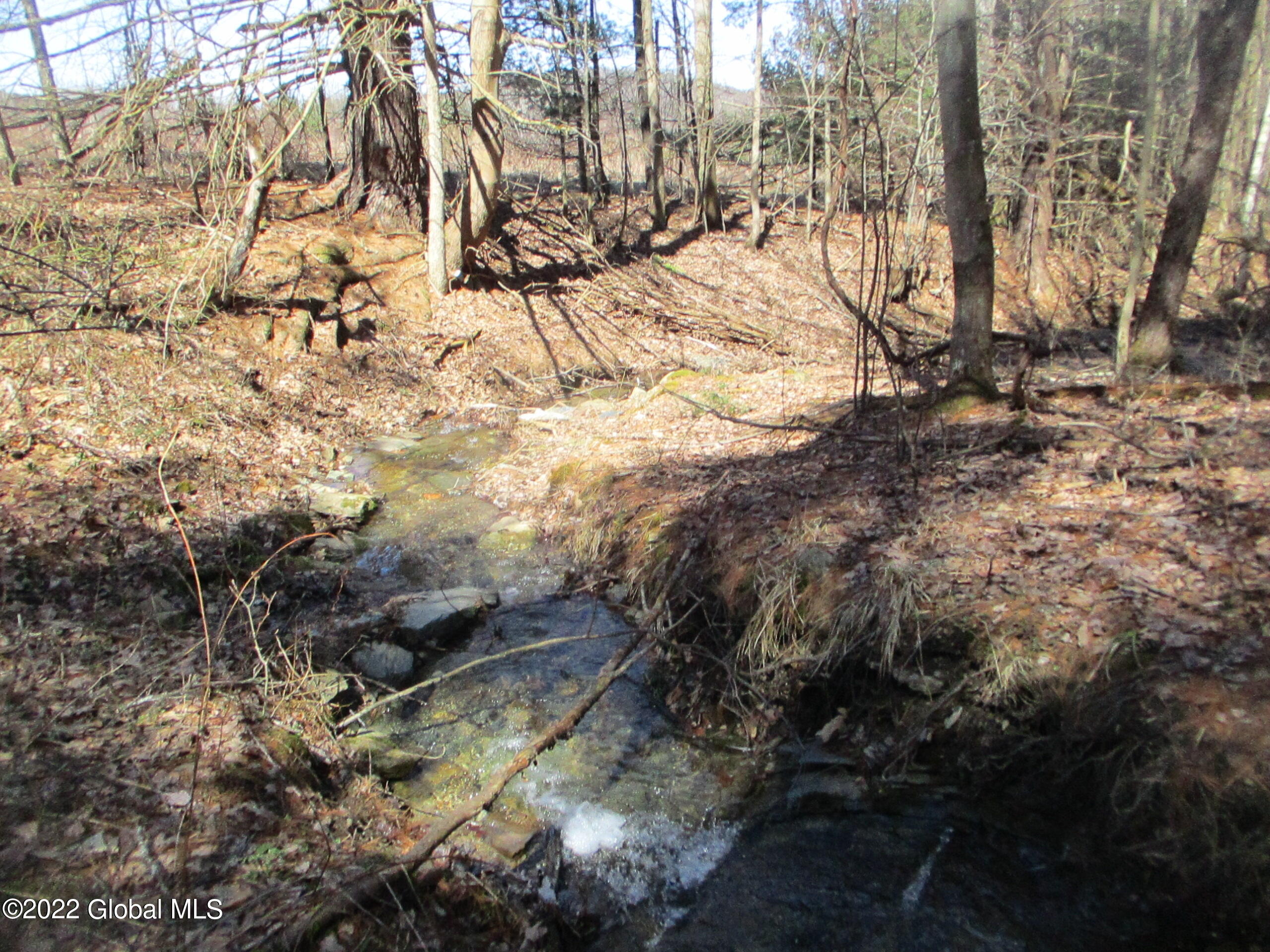 0 Fords Road Hoosick Falls, NY 12090 - Photo 50 of 57 50 Stream
