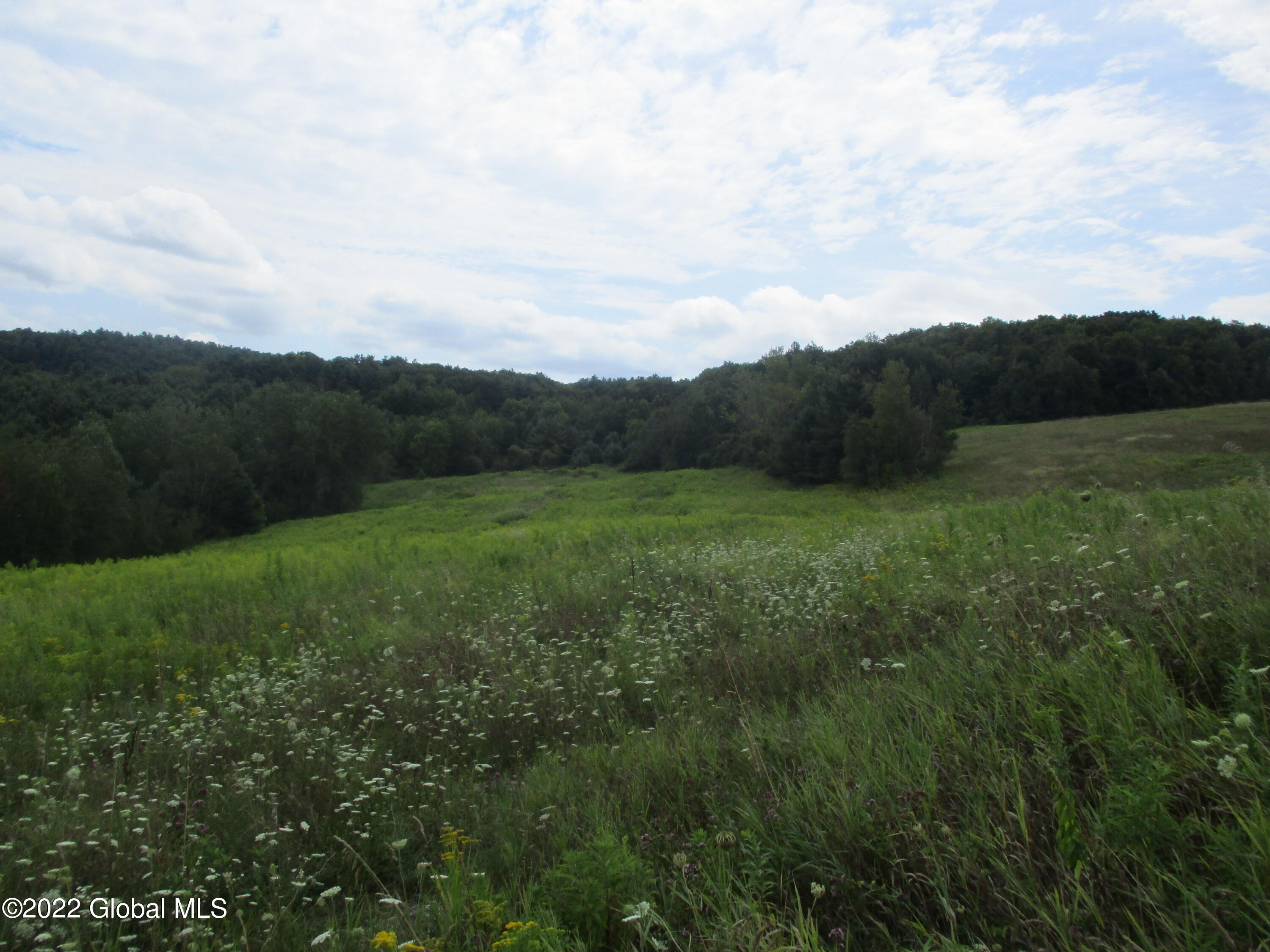 0 Fords Road Hoosick Falls, NY 12090 - Photo 5 of 57 05 Upper Meadow South View