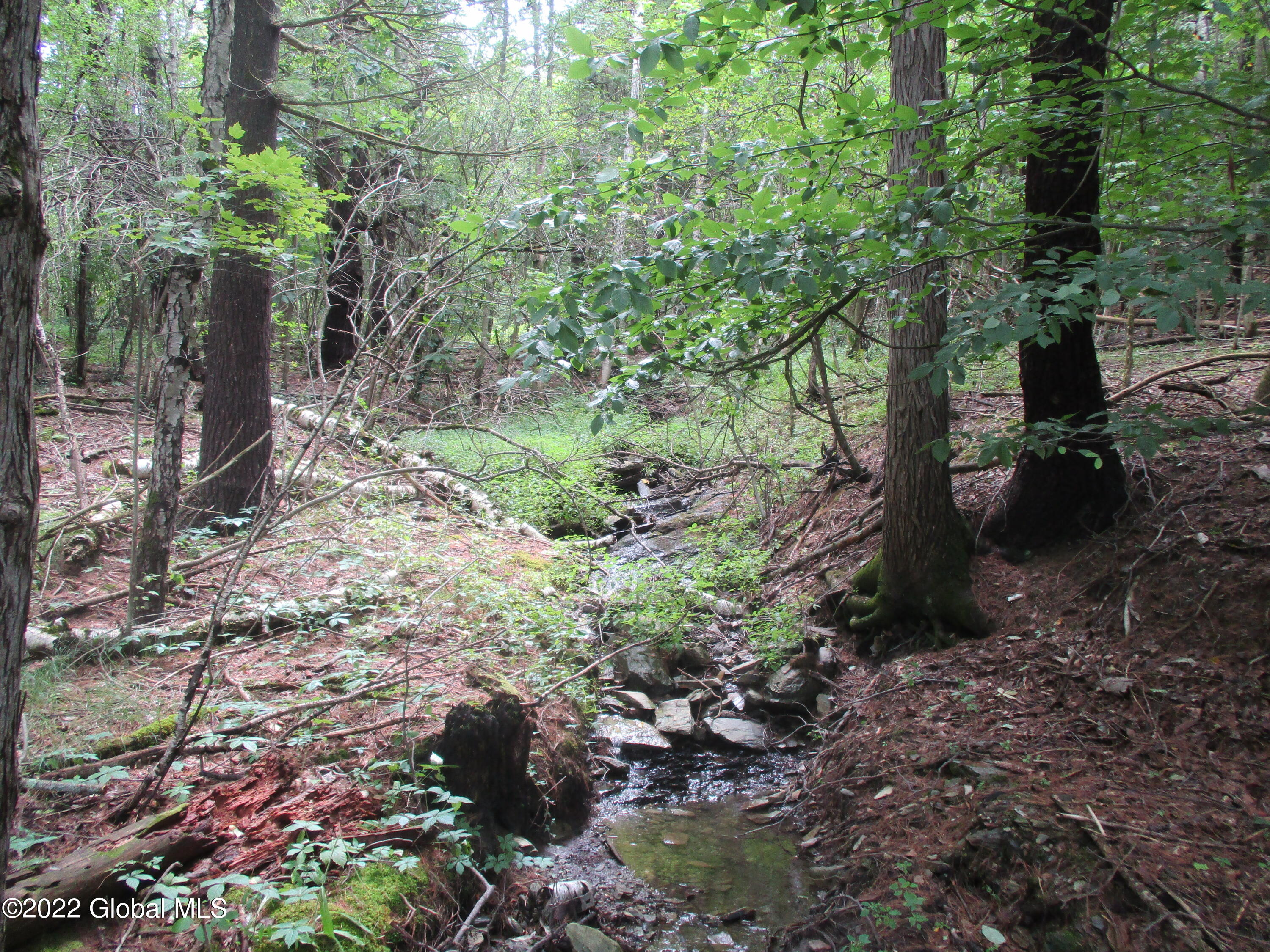 0 Fords Road Hoosick Falls, NY 12090 - Photo 51 of 57 51 Stream in August