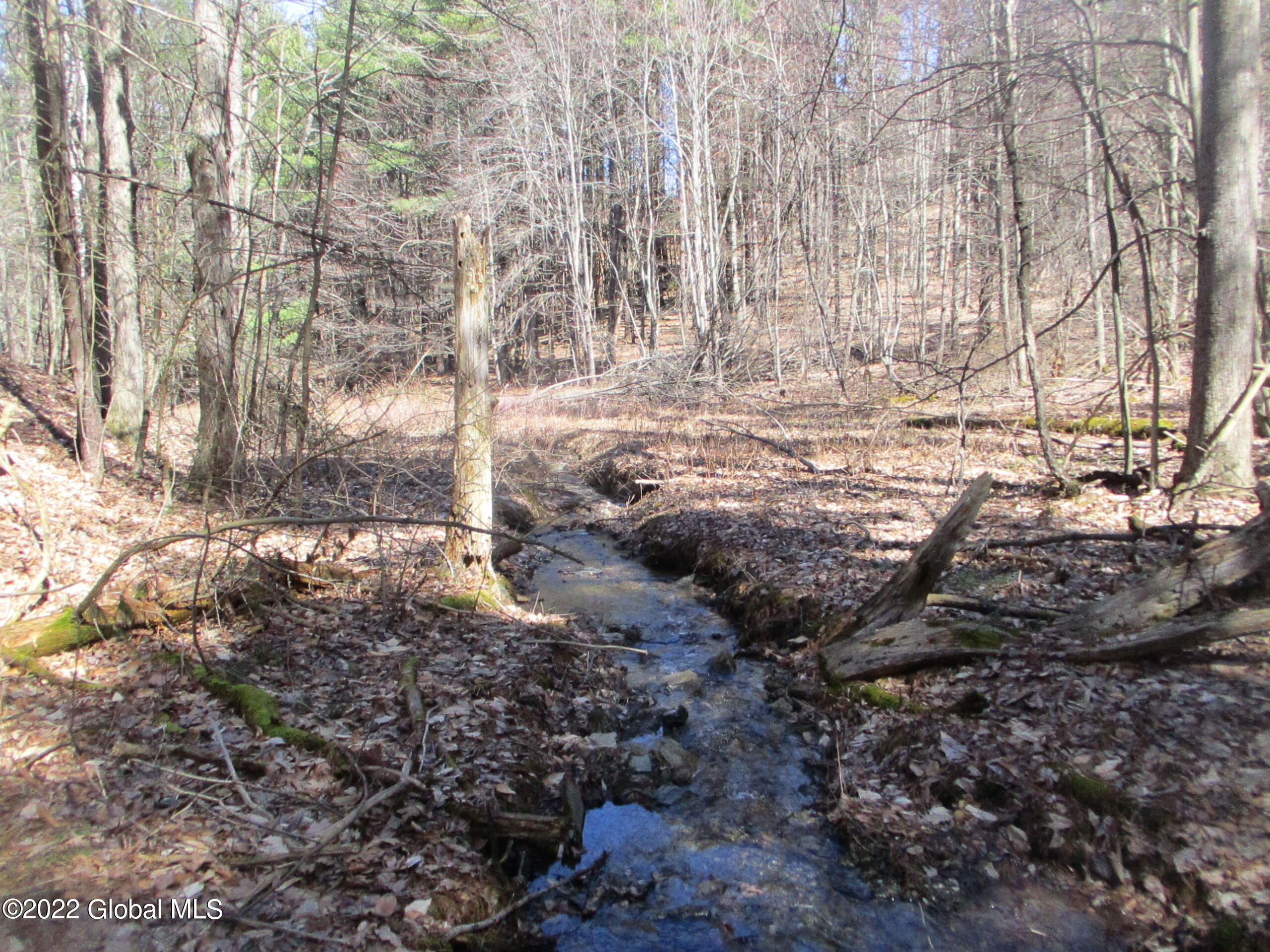 0 Fords Road Hoosick Falls, NY 12090 - Photo 52 of 57 52 Stream
