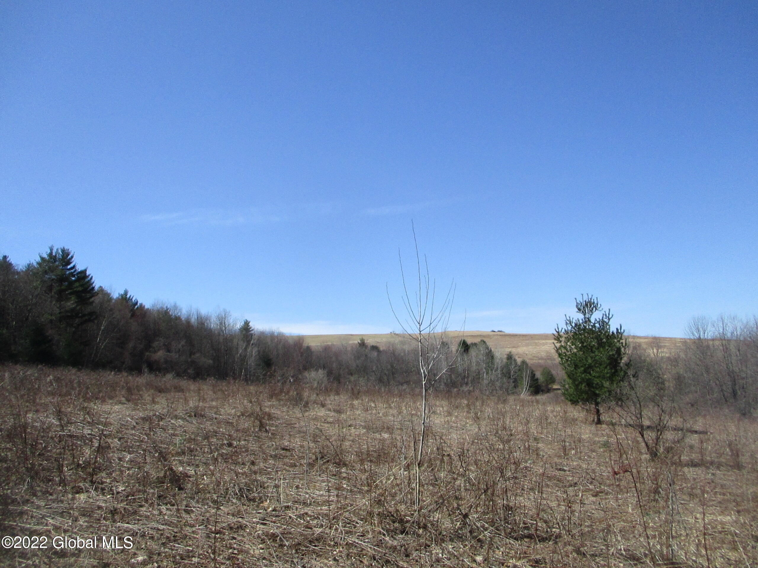 0 Fords Road Hoosick Falls, NY 12090 - Photo 53 of 57 53 Middle Meadow, Upper Meadow in Distan