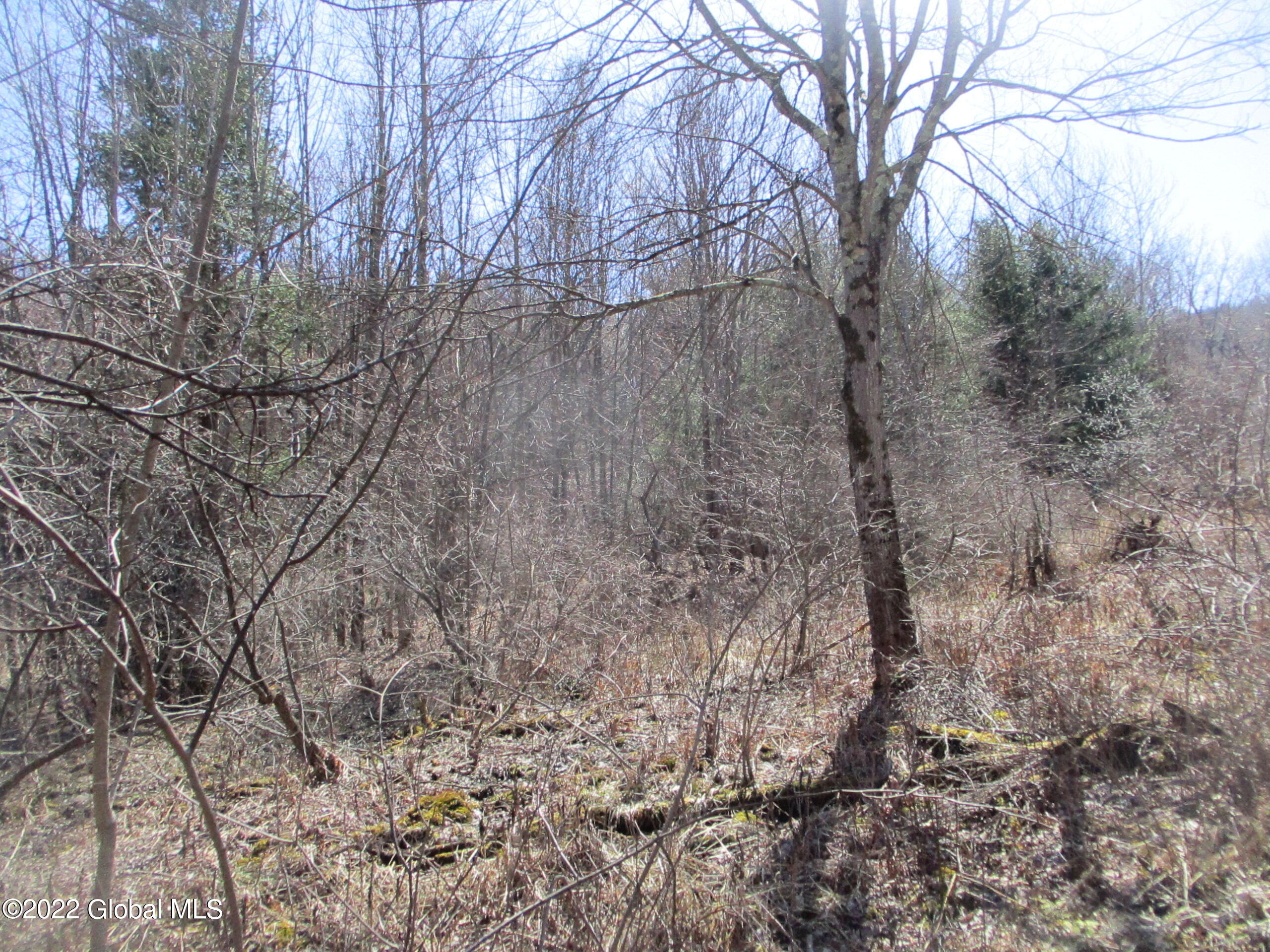 0 Fords Road Hoosick Falls, NY 12090 - Photo 54 of 57 54 Great Bird Habitat