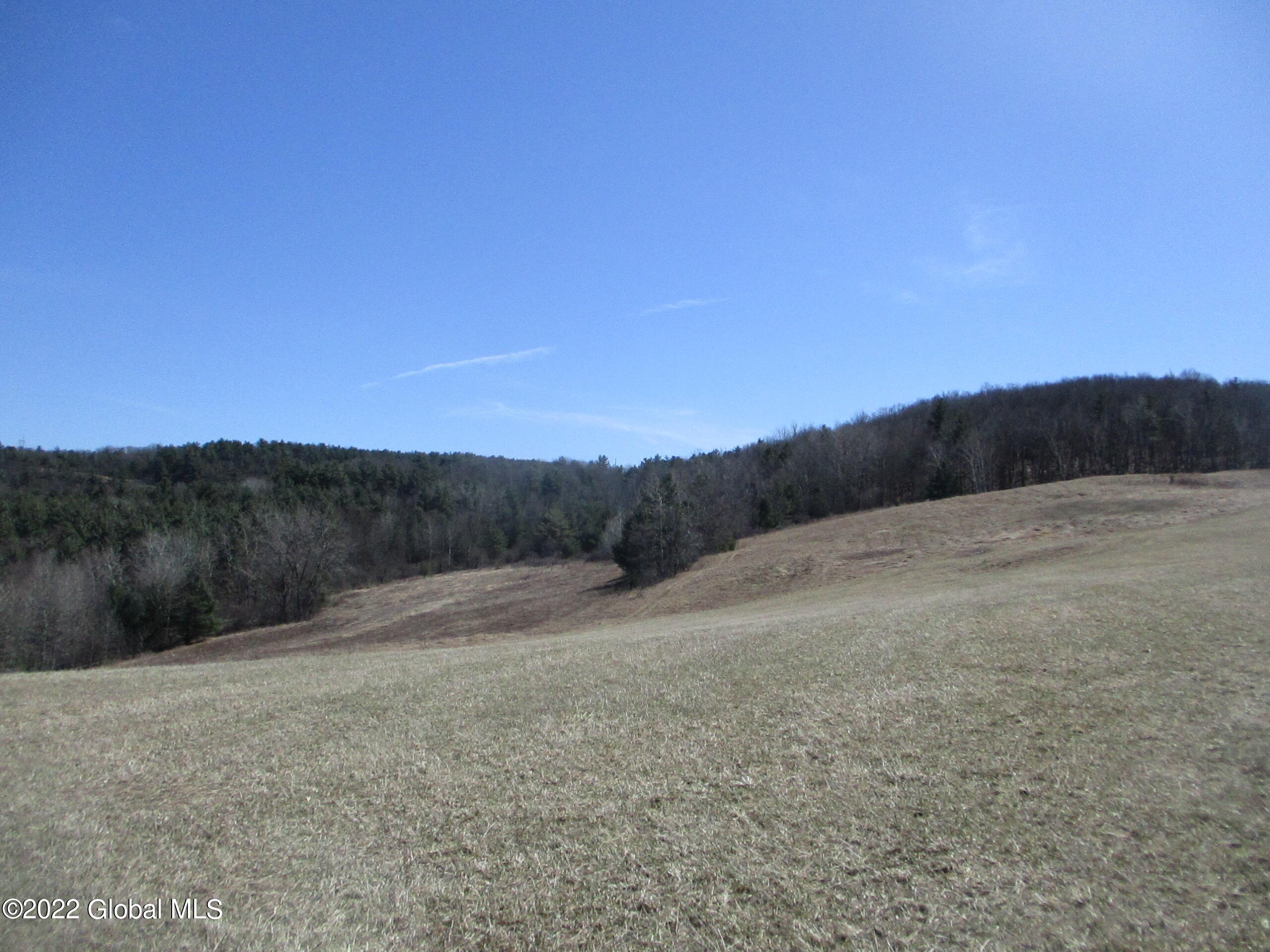 0 Fords Road Hoosick Falls, NY 12090 - Photo 55 of 57 55 Upper Meadow South