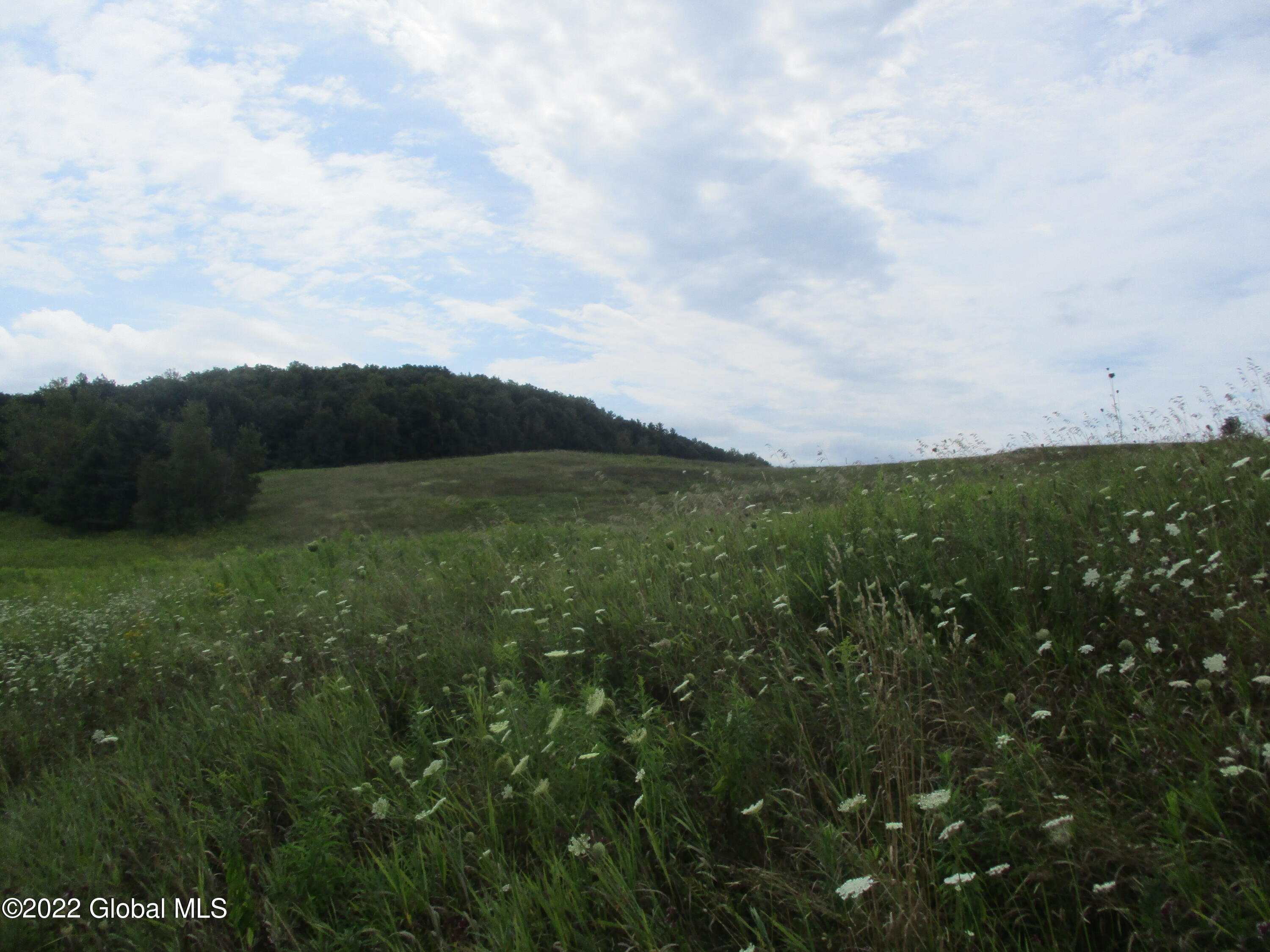 0 Fords Road Hoosick Falls, NY 12090 - Photo 6 of 57 06 Upper Meadow