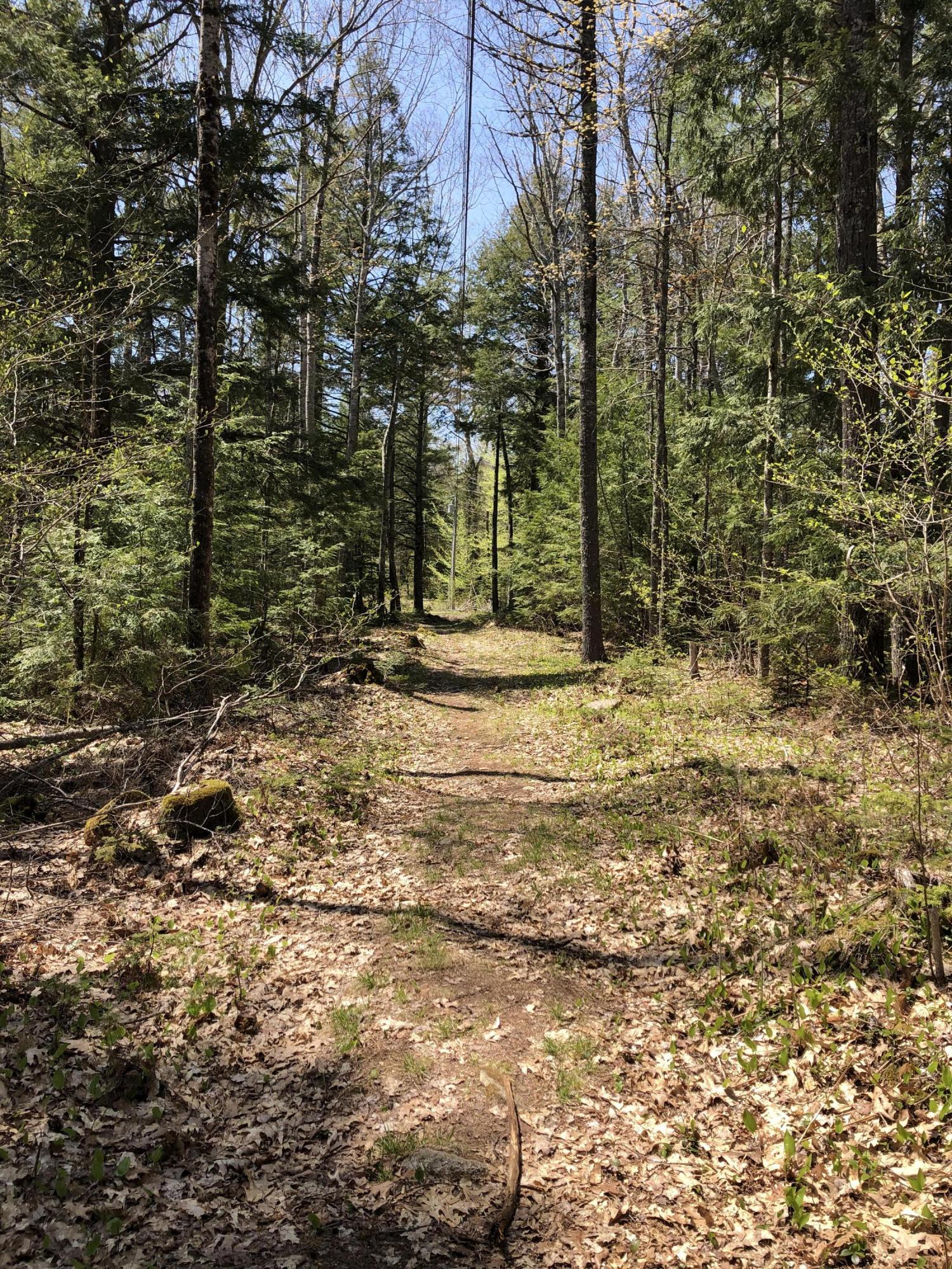 0 Scoppa Road Lincolnville, ME 04849 - Photo 5 of 10 IMG_5209