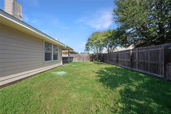 a view of a backyard with plants and large trees