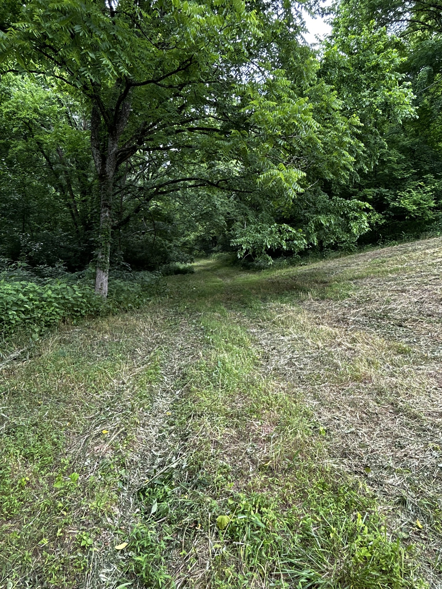 98 Hackett Valley Road Hickman, TN 38567 - Photo 9 of 41
