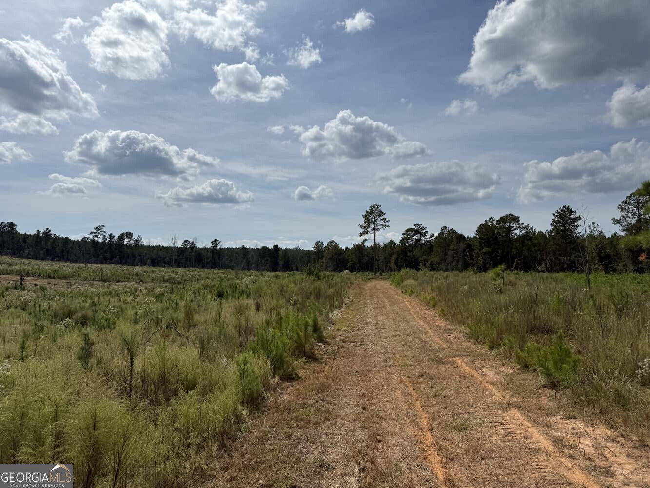 a view of a lake from a yard