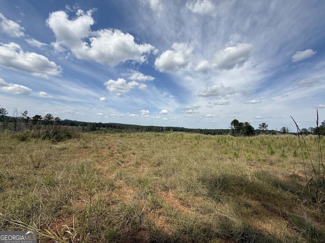 1490 Myricks Mill Road Jeffersonville, GA 31044 - Photo 11 of 14